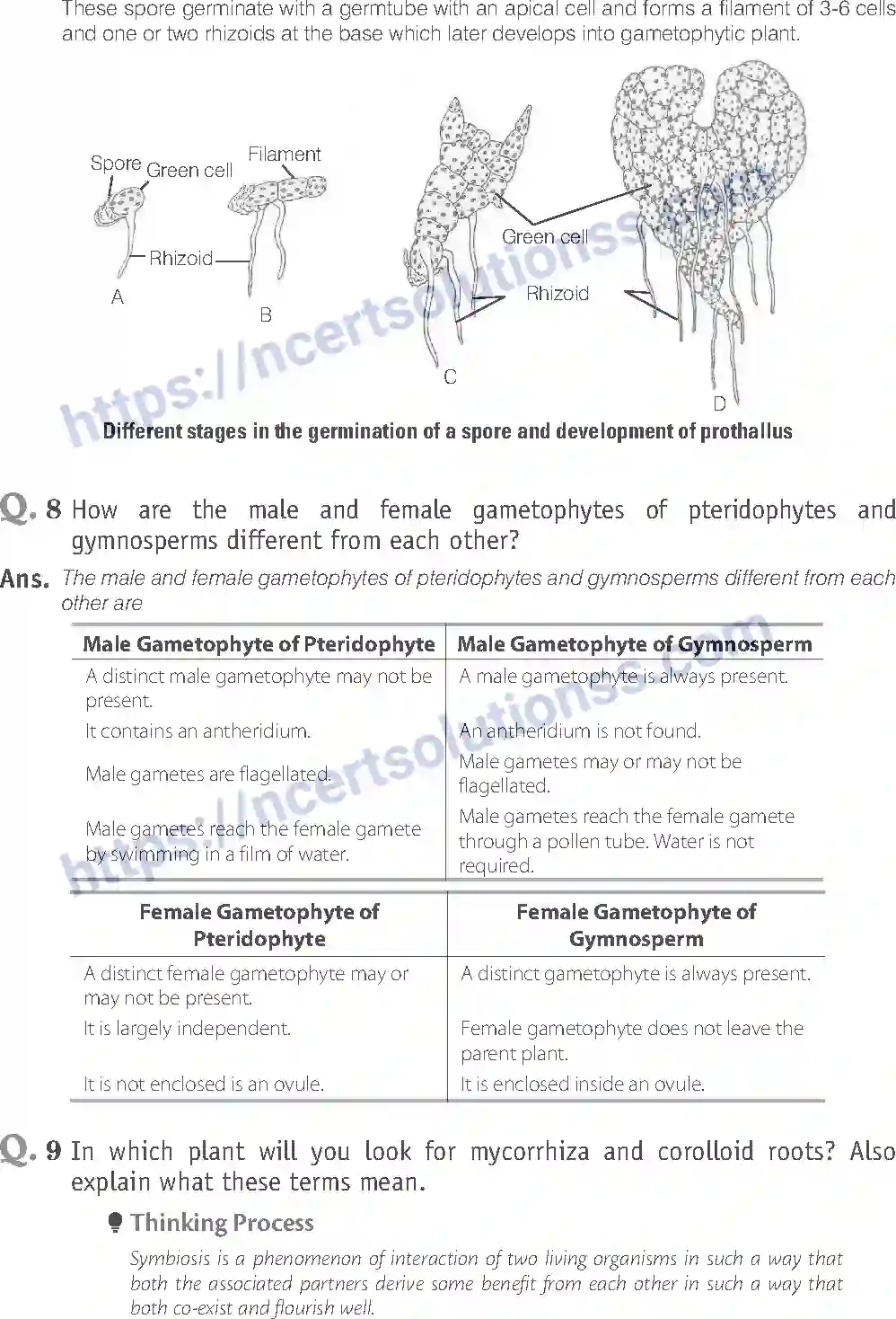 NCERT-Exemplar-Solution-Class-11-Biology-Plant-Kingdom-79-page-9