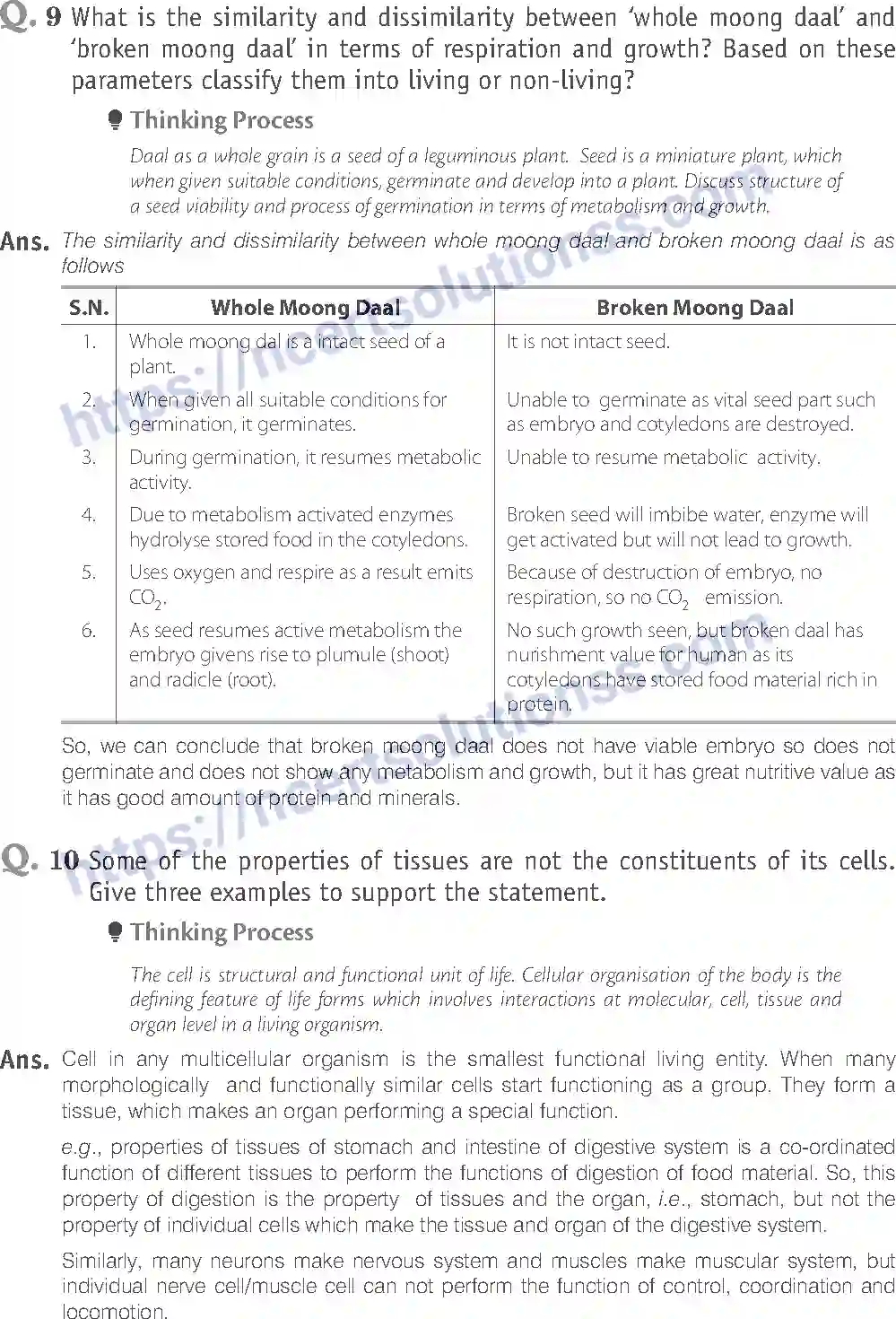 NCERT-Exemplar-Solution-Class-11-Biology-The-Living-World-77-page-12