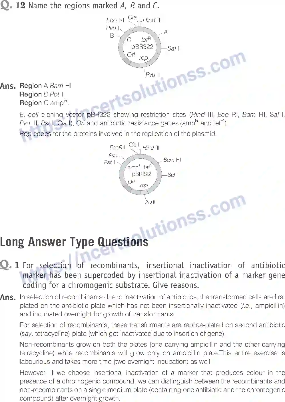 NCERT-Exemplar-Solution-Class-12-Biology-Biotechnology-Principles-and-Processes-24-page-12