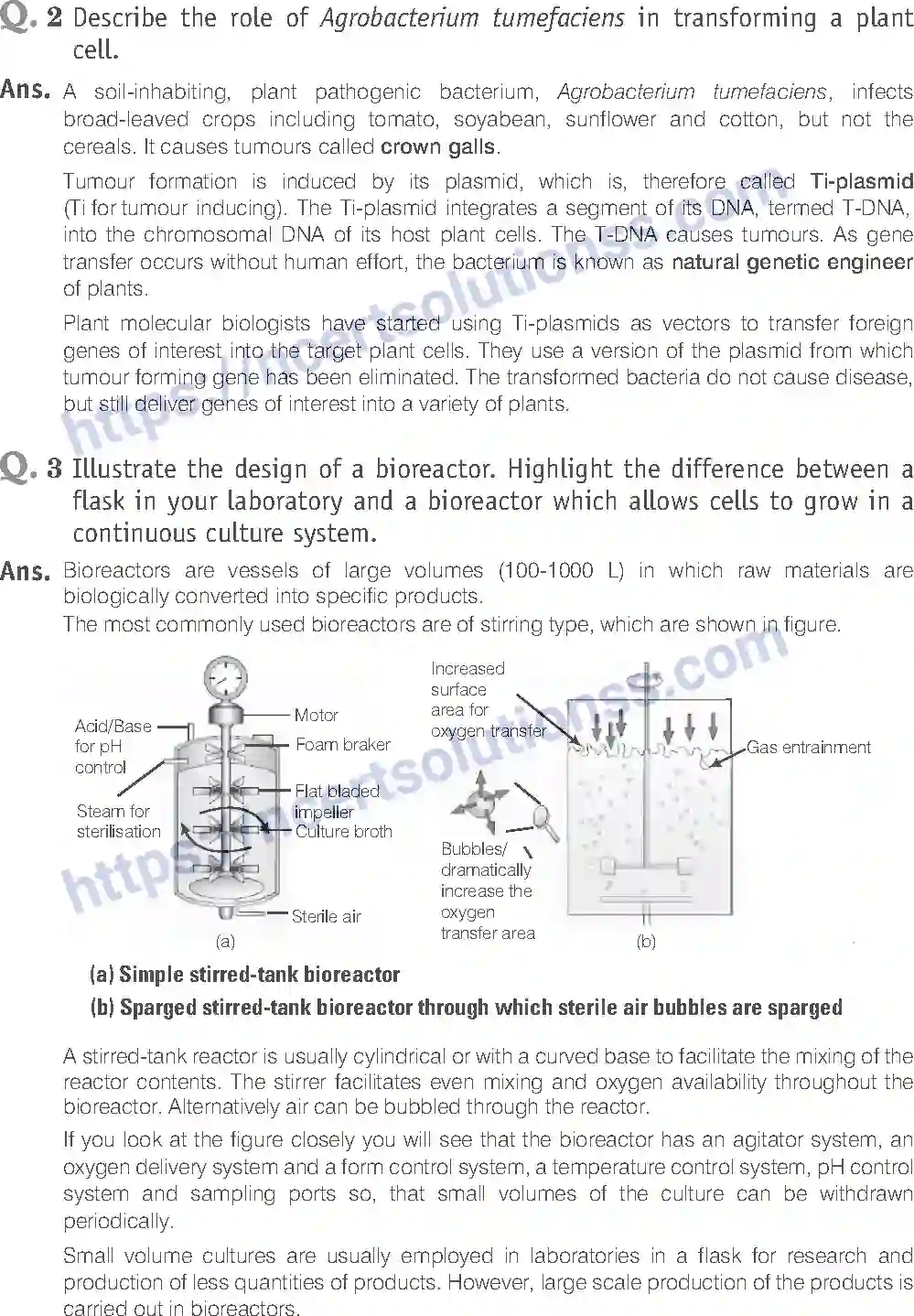 NCERT-Exemplar-Solution-Class-12-Biology-Biotechnology-Principles-and-Processes-24-page-13