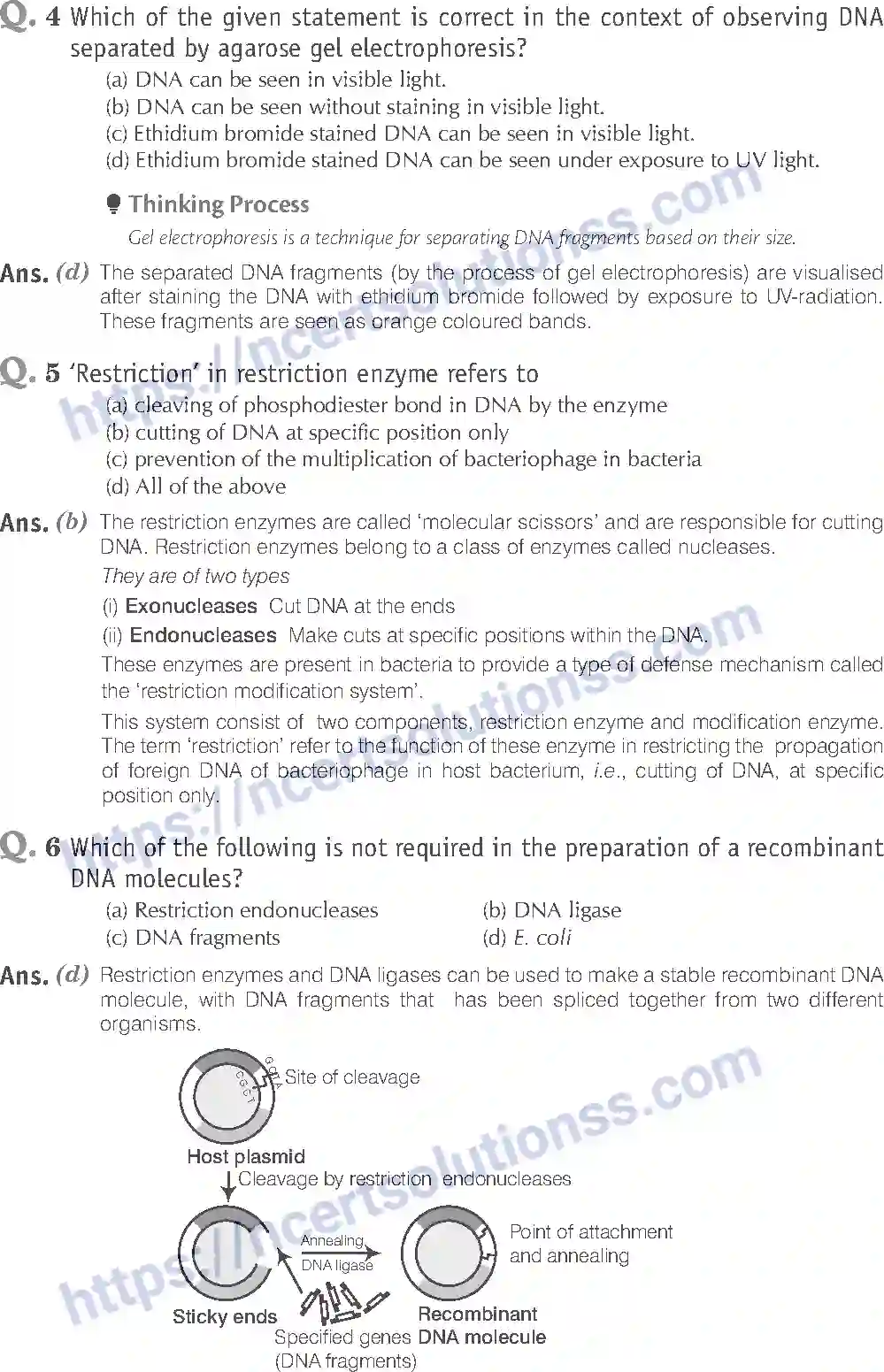 NCERT-Exemplar-Solution-Class-12-Biology-Biotechnology-Principles-and-Processes-24-page-2