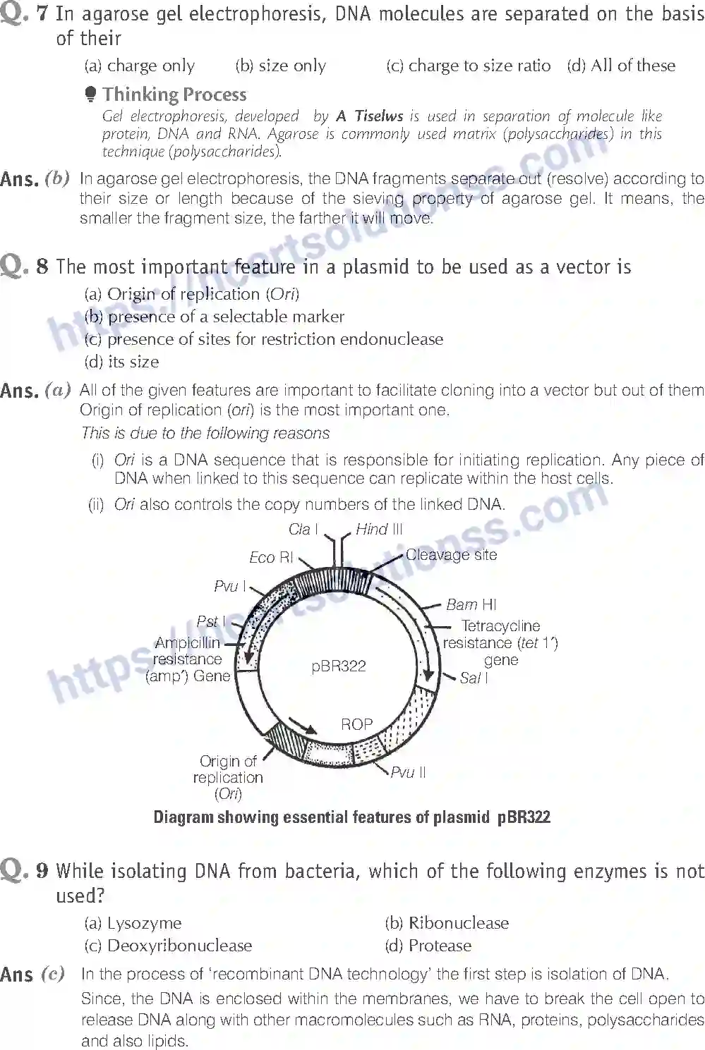 NCERT-Exemplar-Solution-Class-12-Biology-Biotechnology-Principles-and-Processes-24-page-3
