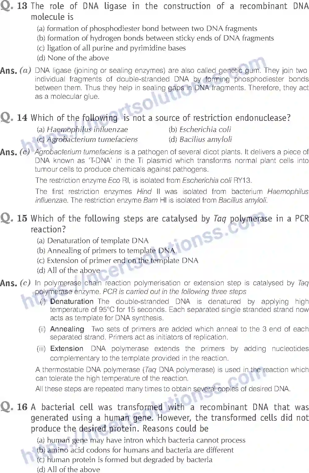 NCERT-Exemplar-Solution-Class-12-Biology-Biotechnology-Principles-and-Processes-24-page-5