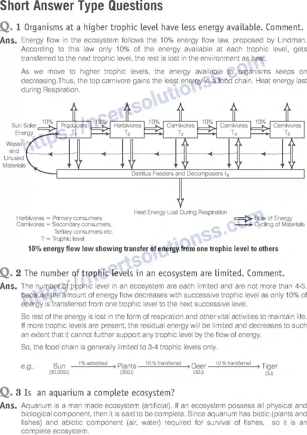 NCERT-Exemplar-Solution-Class-12-Biology-Ecosystem-27-page-10