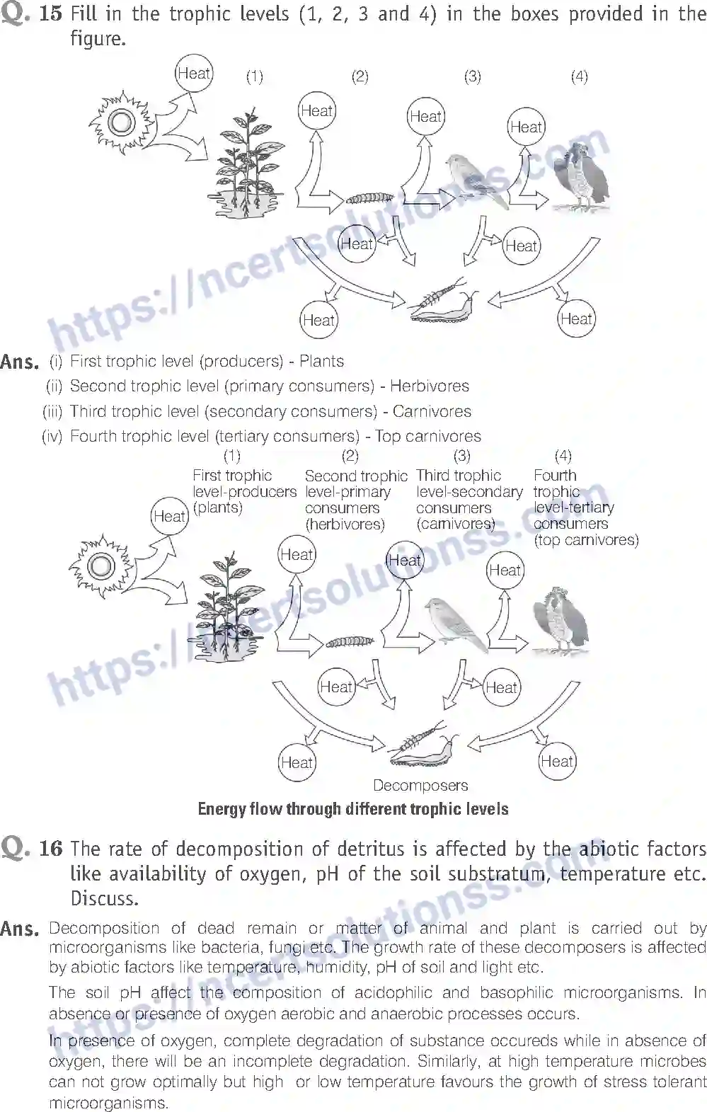 NCERT-Exemplar-Solution-Class-12-Biology-Ecosystem-27-page-13