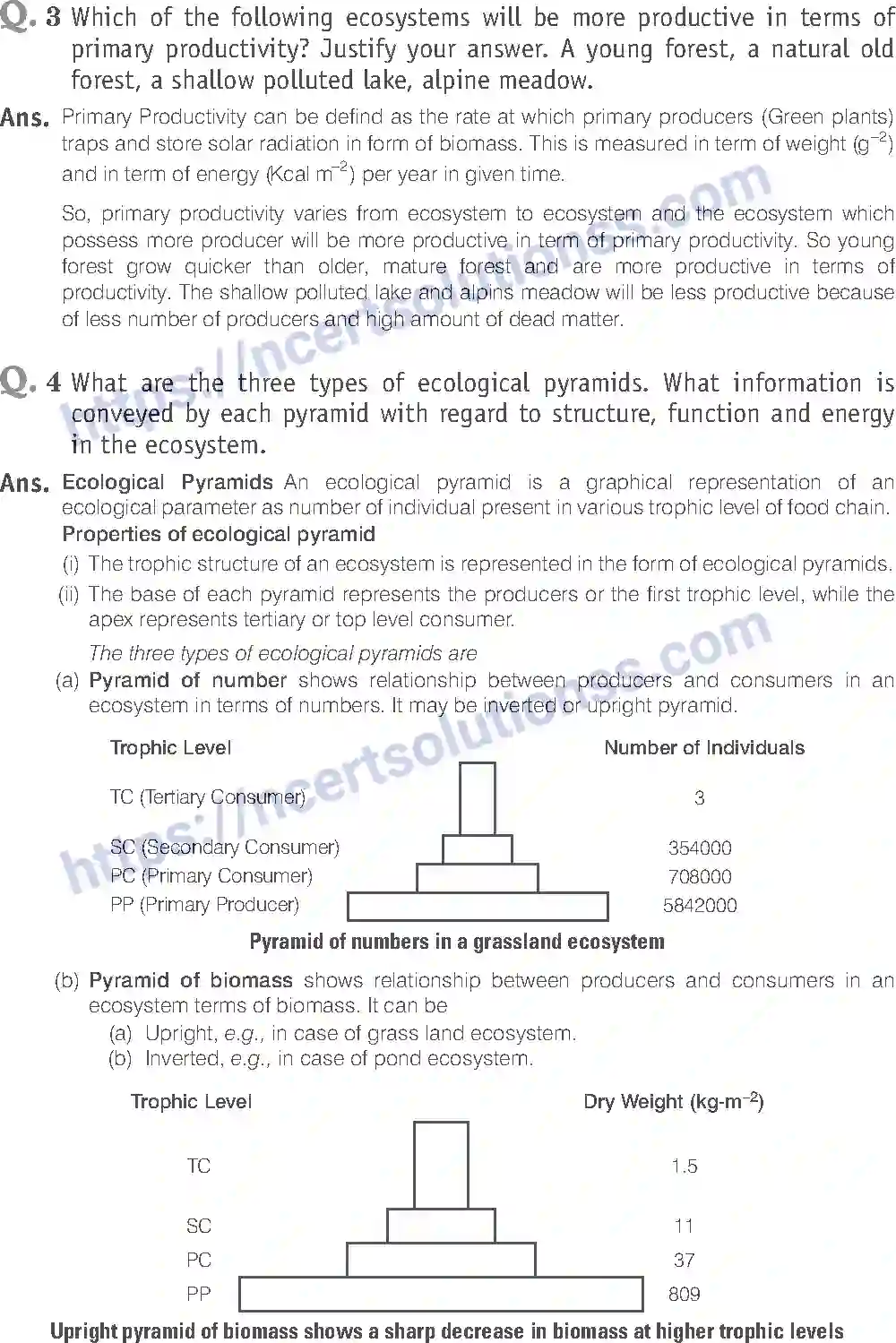 NCERT-Exemplar-Solution-Class-12-Biology-Ecosystem-27-page-15
