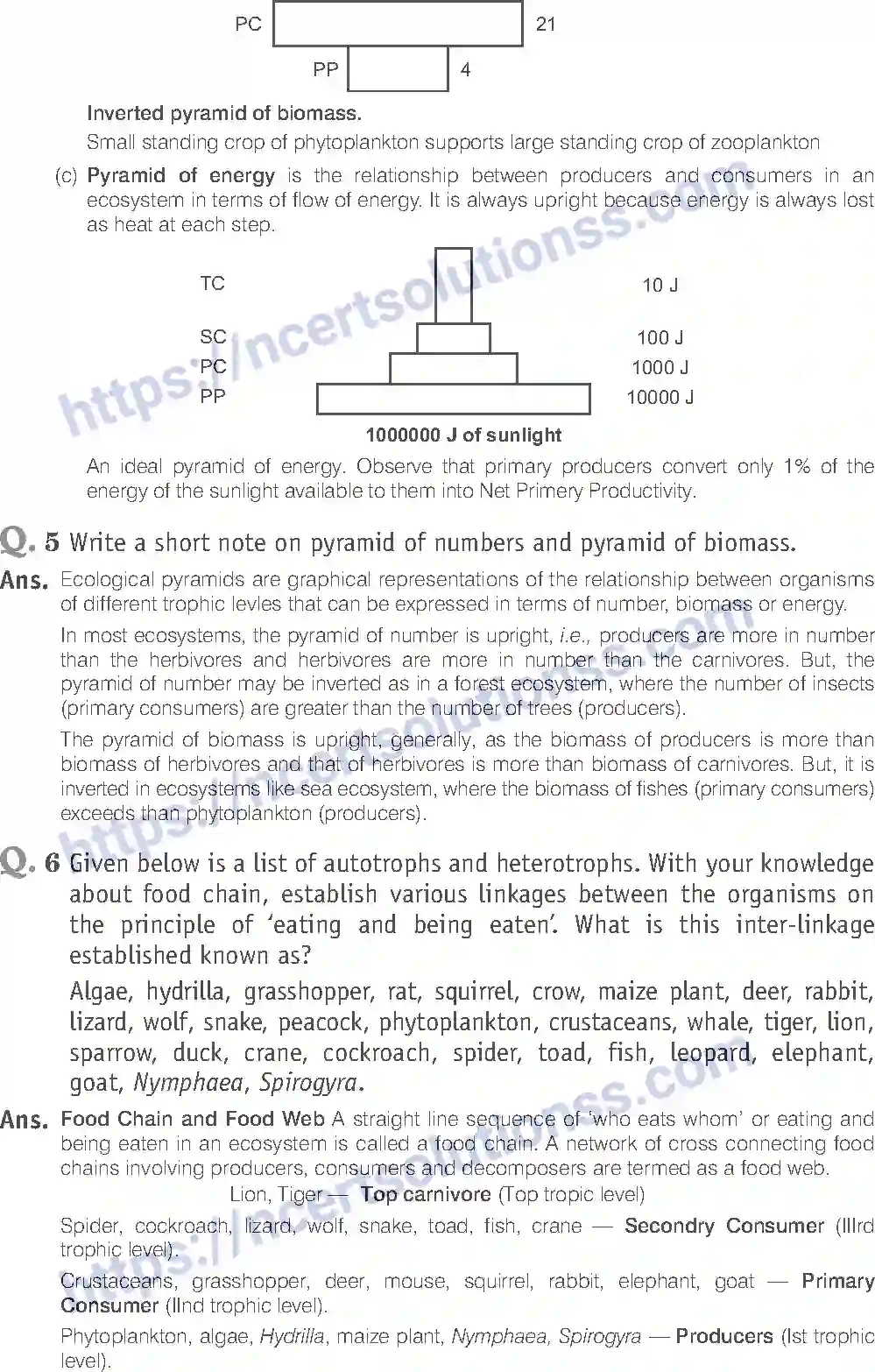 NCERT-Exemplar-Solution-Class-12-Biology-Ecosystem-27-page-16