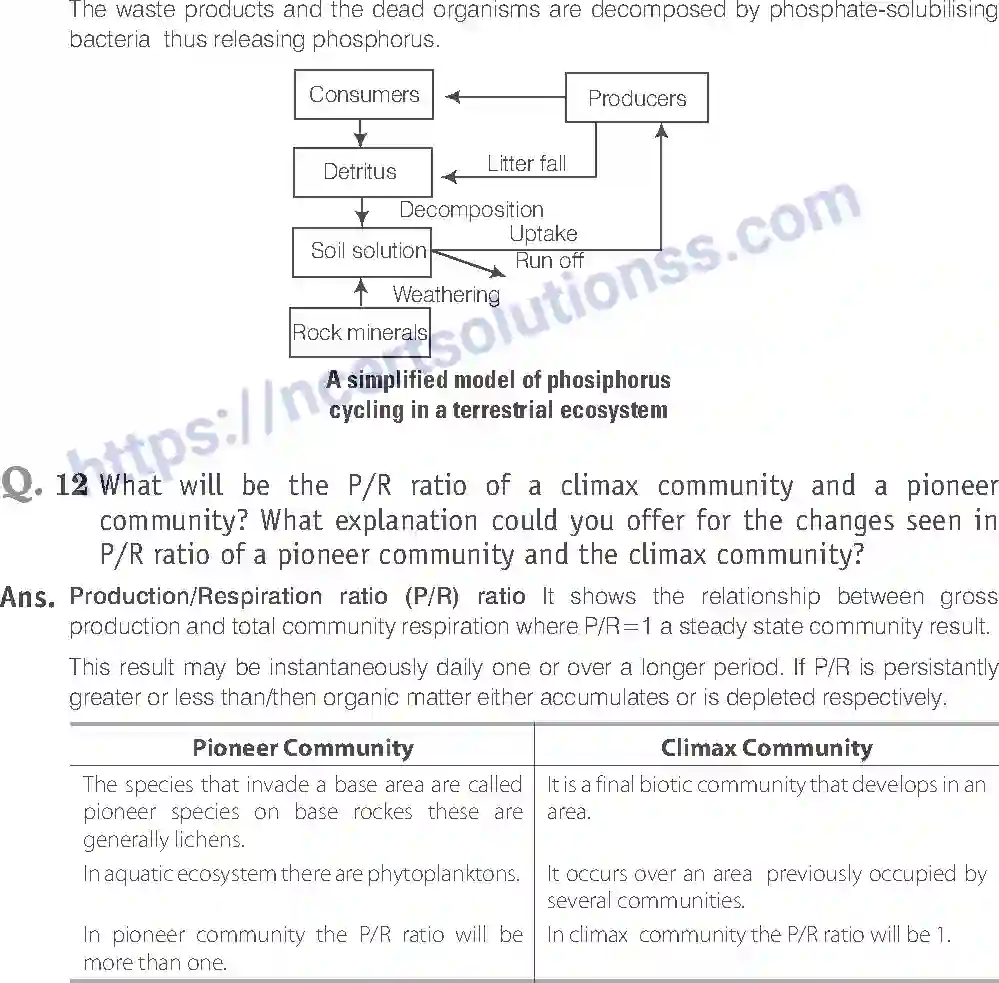 NCERT-Exemplar-Solution-Class-12-Biology-Ecosystem-27-page-19