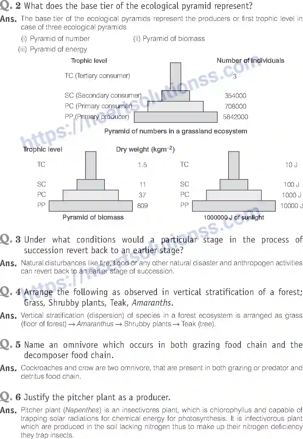 NCERT-Exemplar-Solution-Class-12-Biology-Ecosystem-27-page-7