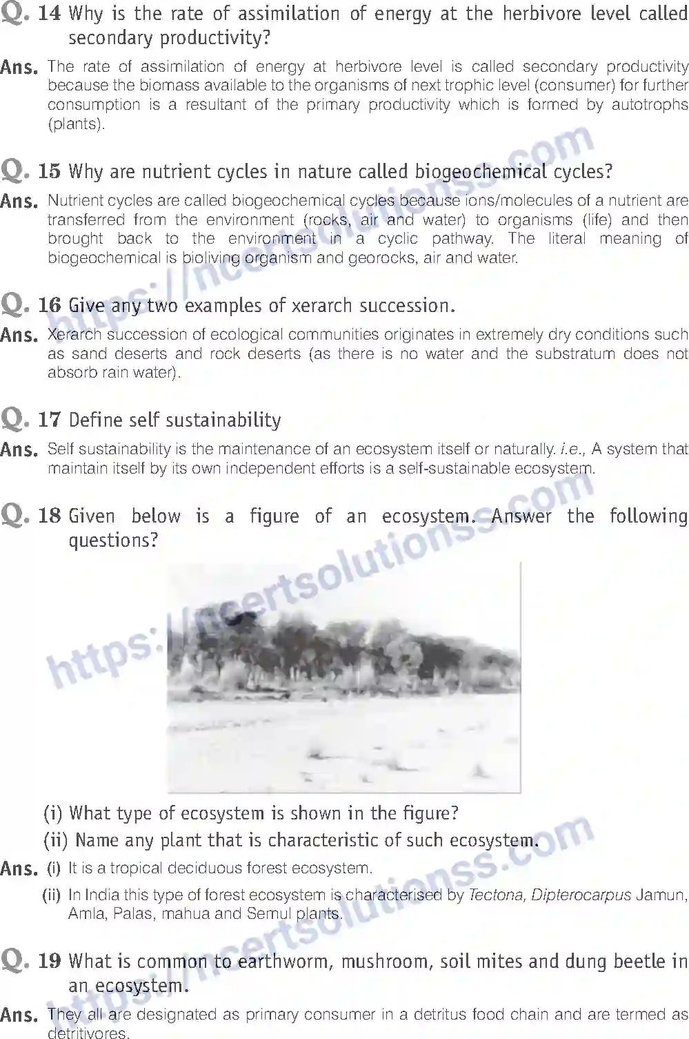 NCERT-Exemplar-Solution-Class-12-Biology-Ecosystem-27-page-9