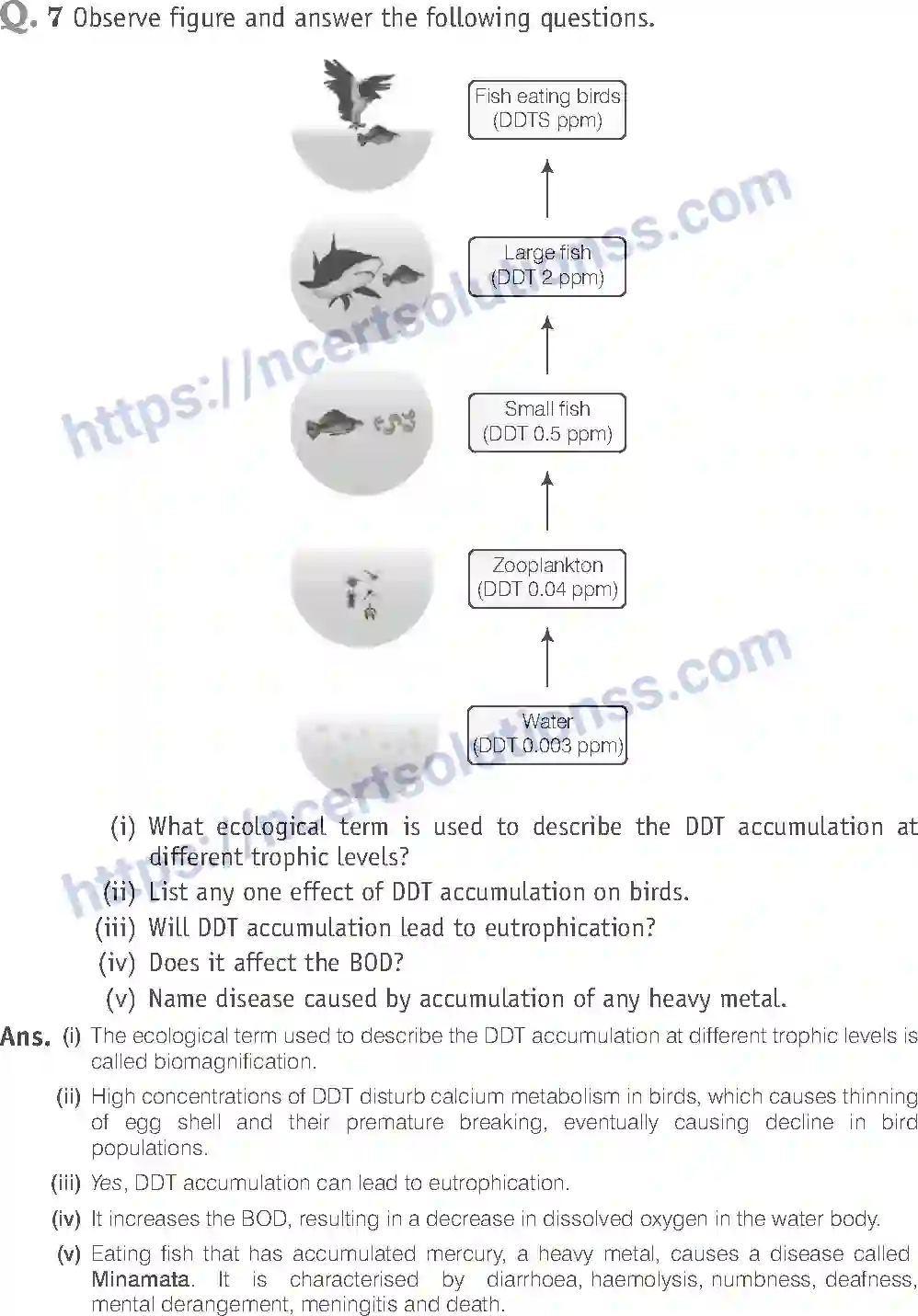 NCERT-Exemplar-Solution-Class-12-Biology-Environmental-Issues-29-page-13