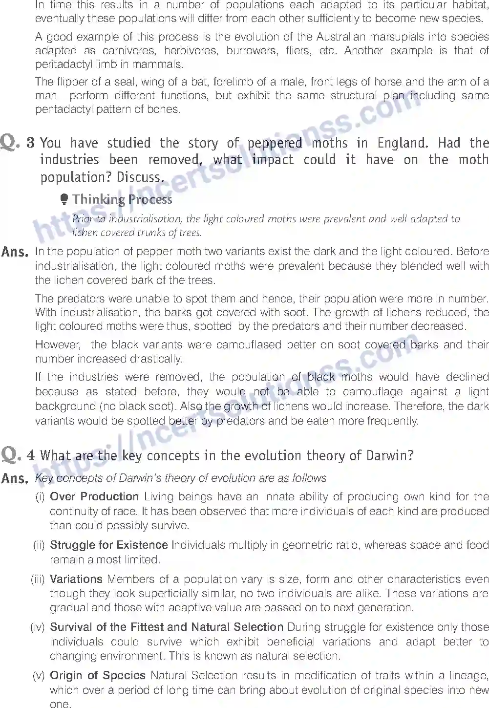 NCERT-Exemplar-Solution-Class-12-Biology-Evolution-20-page-14