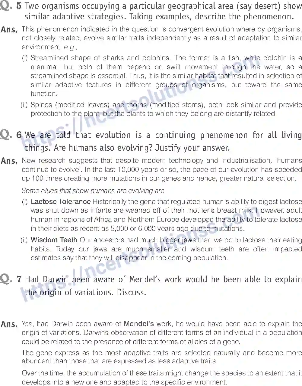 NCERT-Exemplar-Solution-Class-12-Biology-Evolution-20-page-15