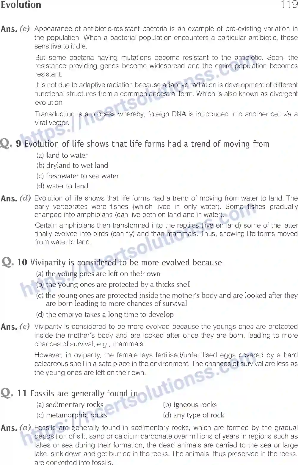 NCERT-Exemplar-Solution-Class-12-Biology-Evolution-20-page-3