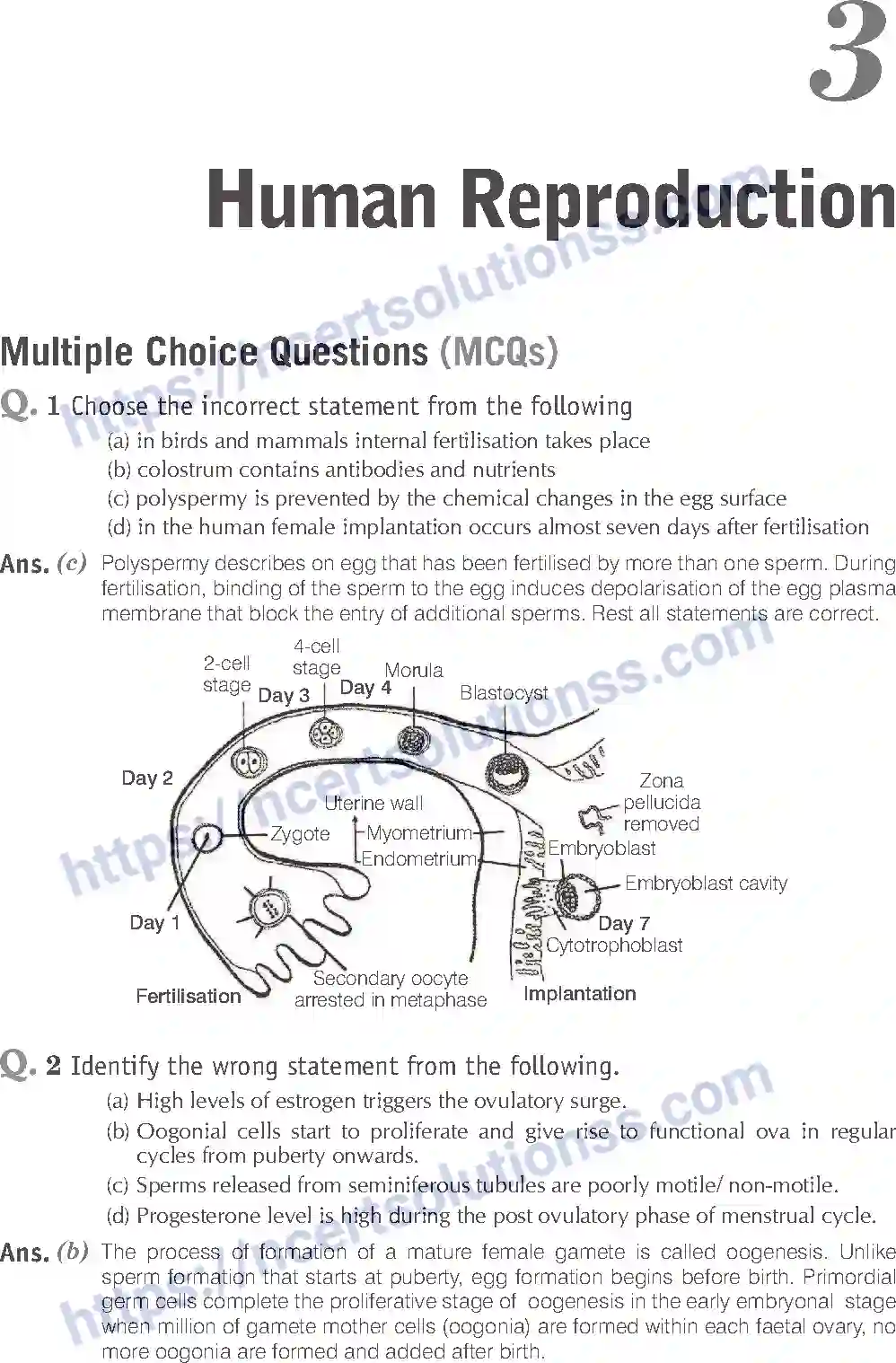 NCERT-Exemplar-Solution-Class-12-Biology-Human-Reproduction-16-page-1