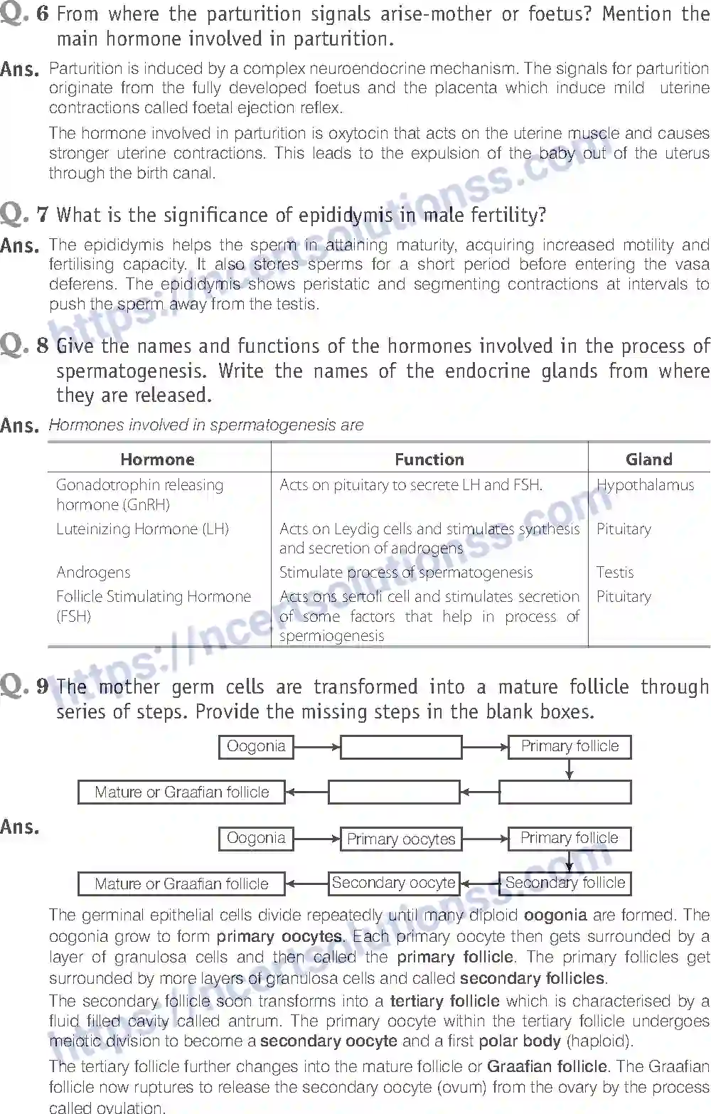 NCERT-Exemplar-Solution-Class-12-Biology-Human-Reproduction-16-page-10