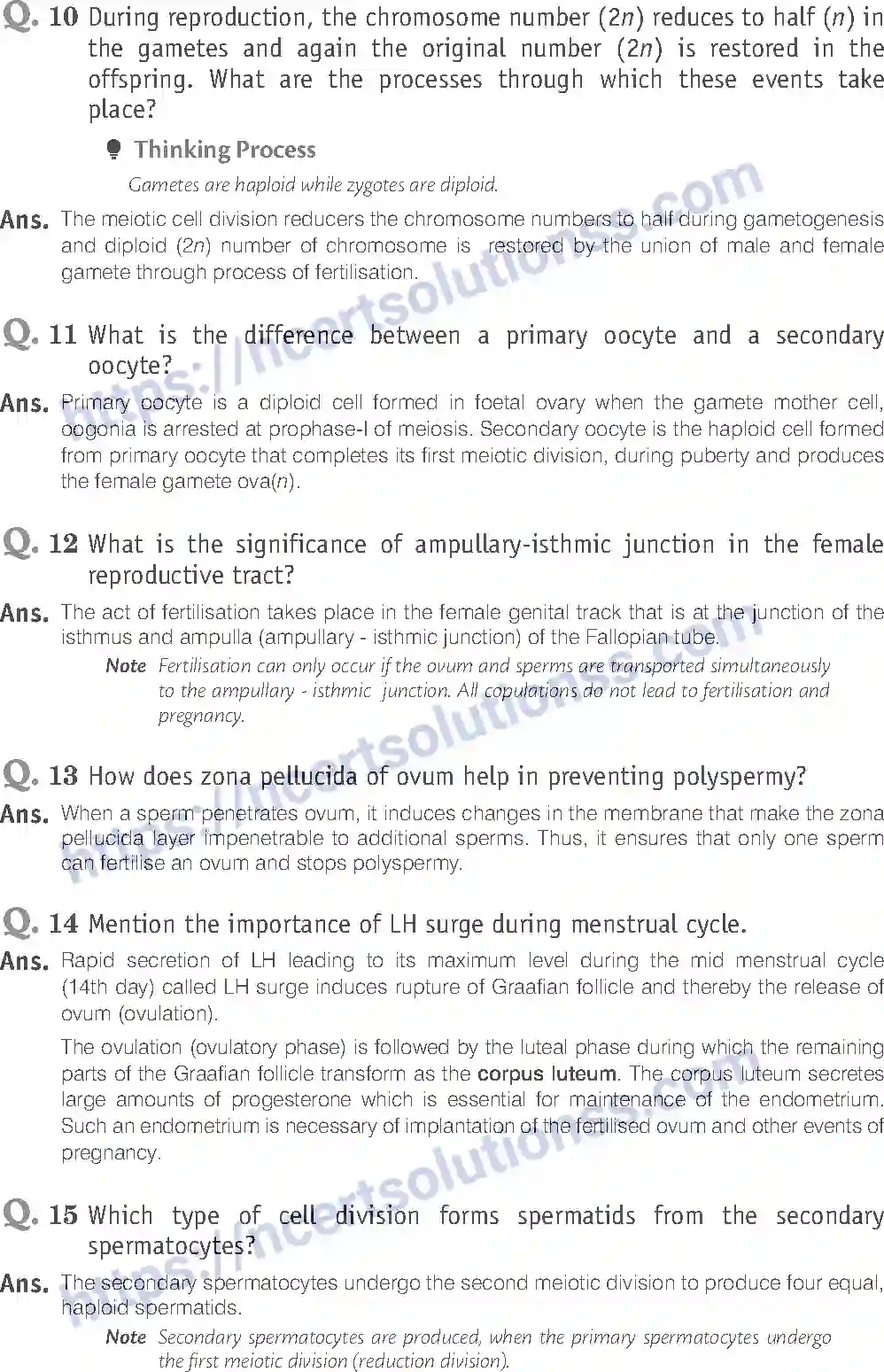 NCERT-Exemplar-Solution-Class-12-Biology-Human-Reproduction-16-page-11