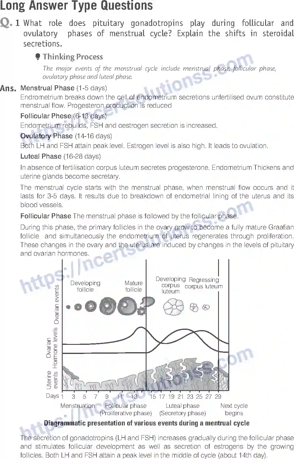 NCERT-Exemplar-Solution-Class-12-Biology-Human-Reproduction-16-page-15