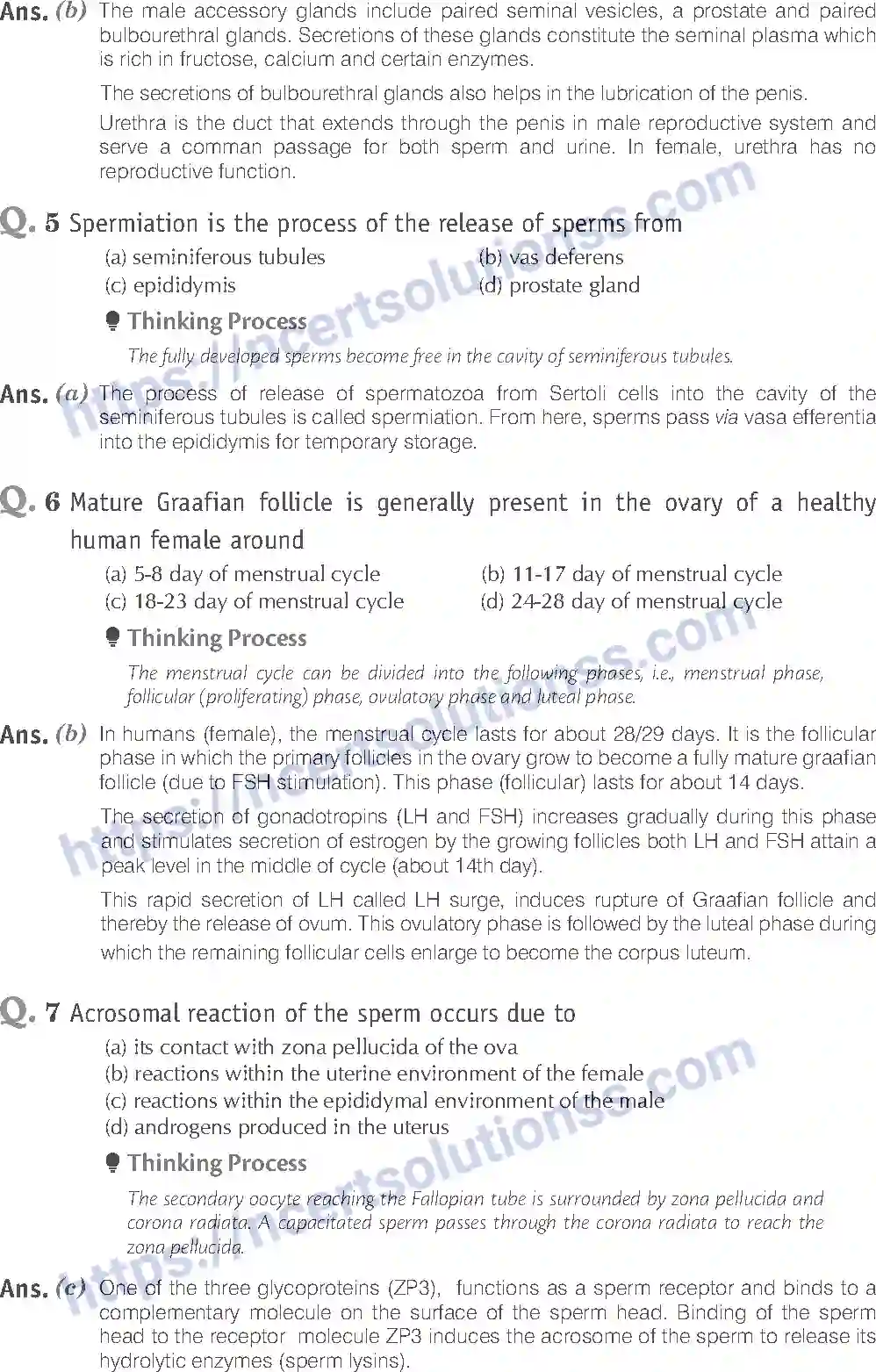NCERT-Exemplar-Solution-Class-12-Biology-Human-Reproduction-16-page-3