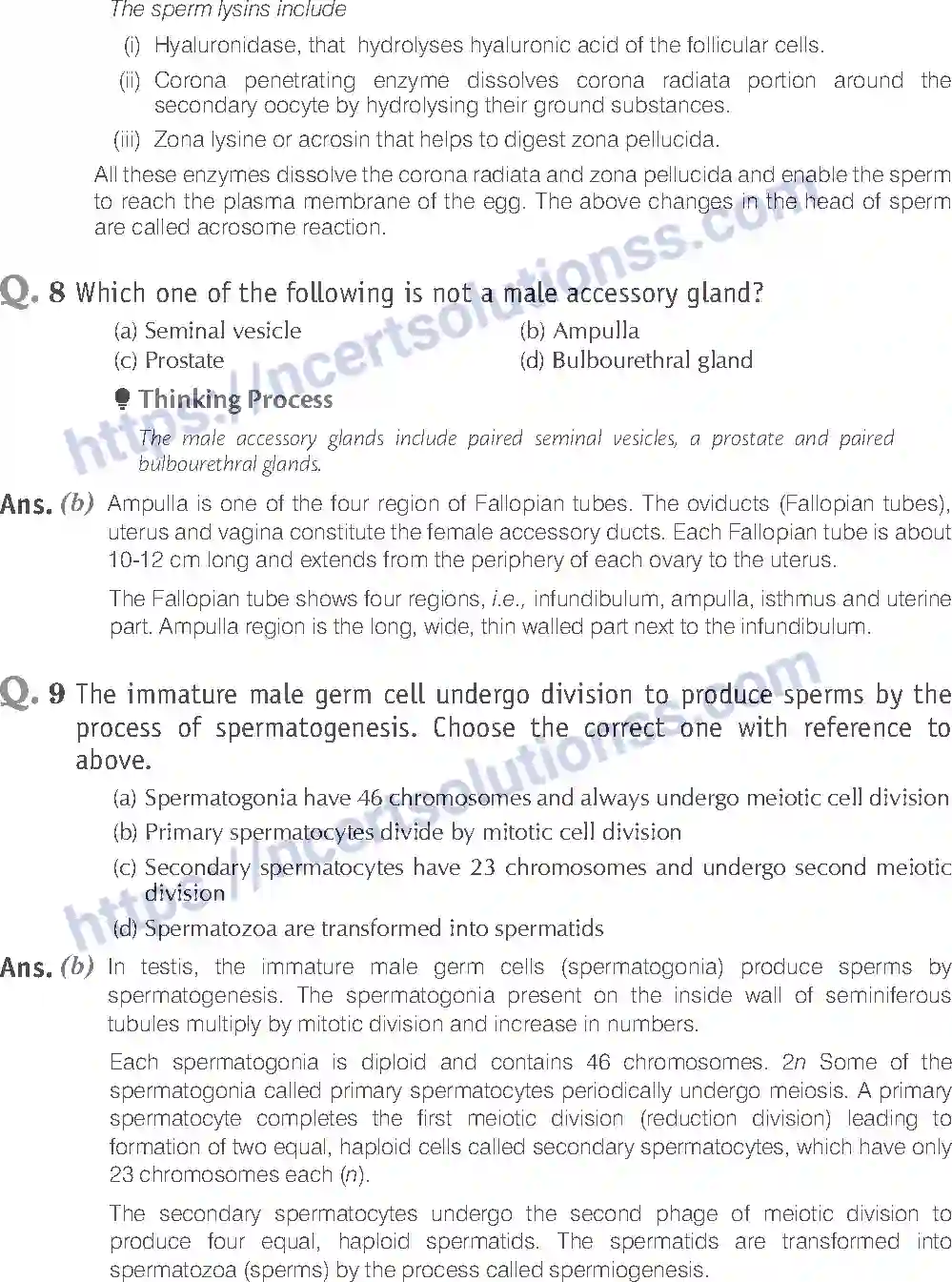 NCERT-Exemplar-Solution-Class-12-Biology-Human-Reproduction-16-page-4
