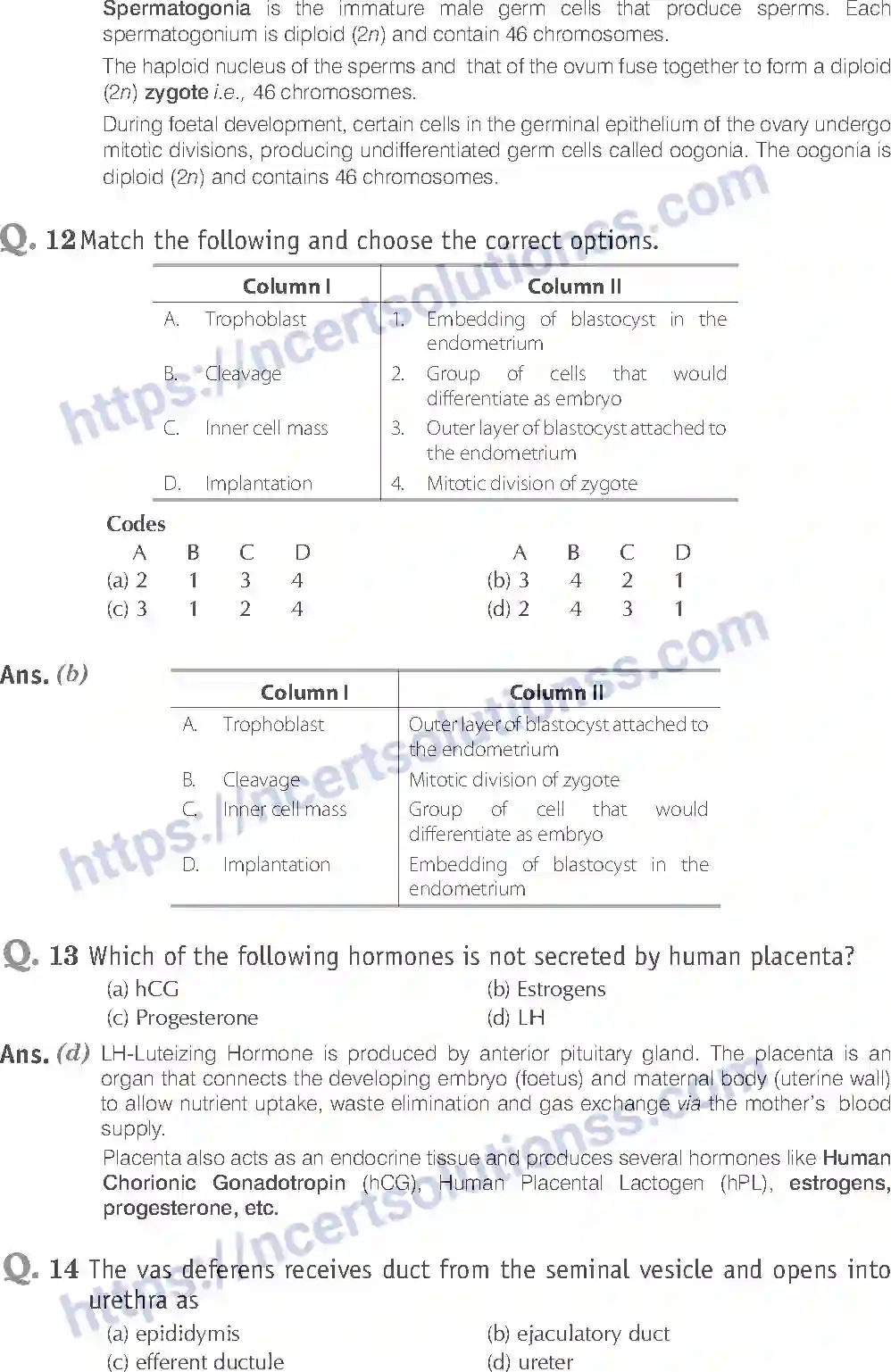 NCERT-Exemplar-Solution-Class-12-Biology-Human-Reproduction-16-page-6