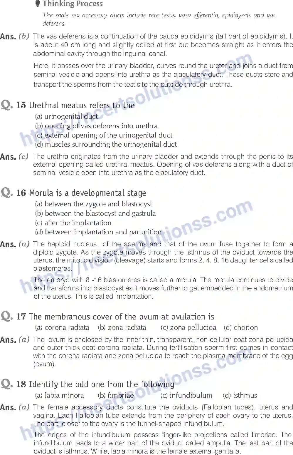 NCERT-Exemplar-Solution-Class-12-Biology-Human-Reproduction-16-page-7