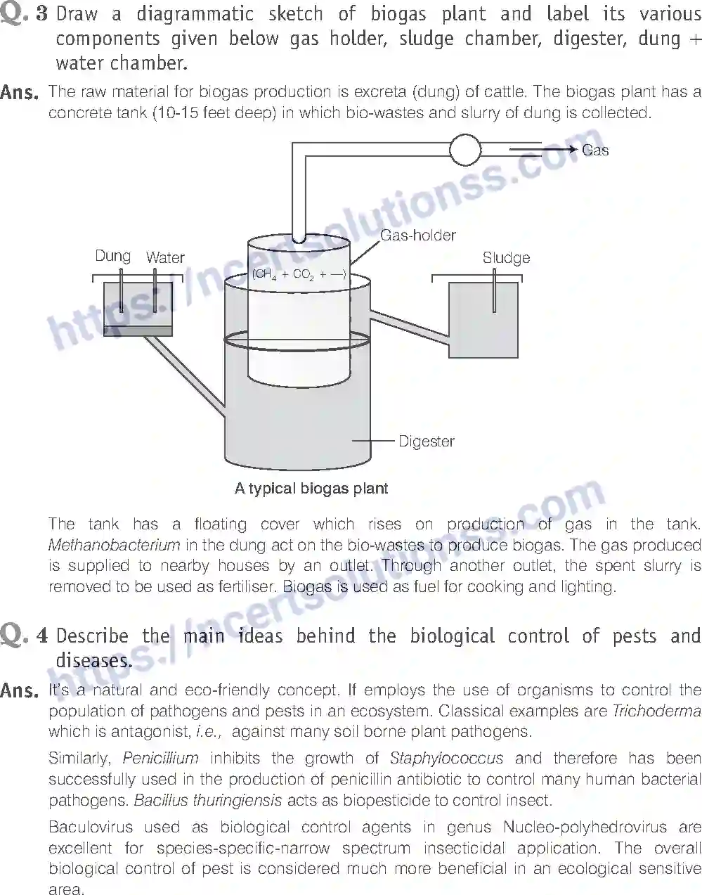 NCERT-Exemplar-Solution-Class-12-Biology-Microbes-in-Human-Welfare-23-page-14