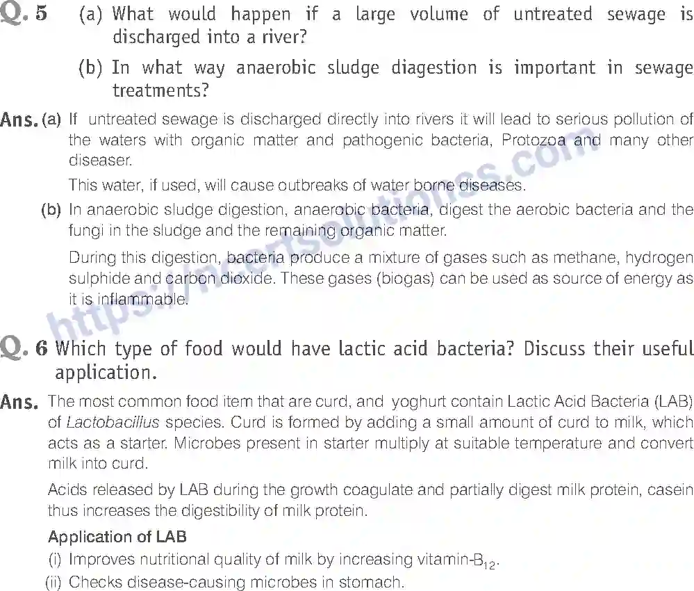 NCERT-Exemplar-Solution-Class-12-Biology-Microbes-in-Human-Welfare-23-page-15