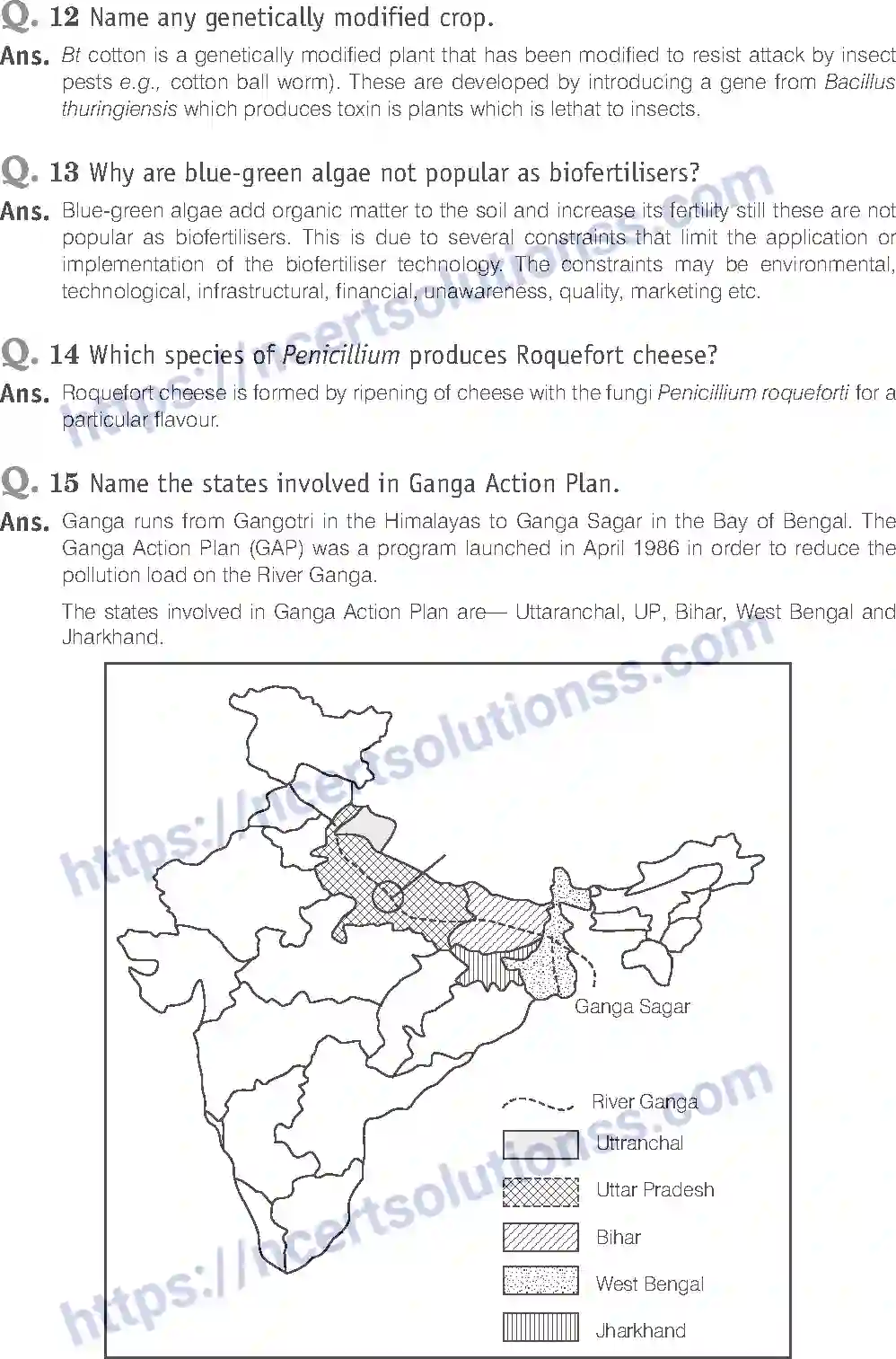 NCERT-Exemplar-Solution-Class-12-Biology-Microbes-in-Human-Welfare-23-page-9
