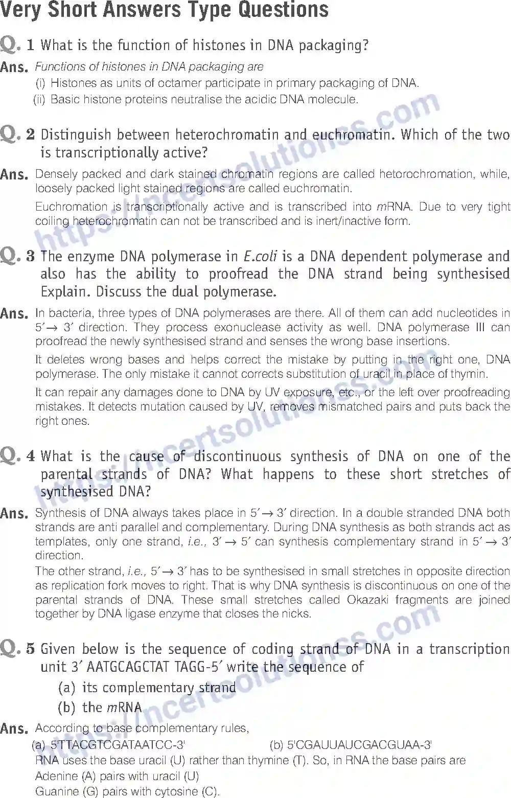NCERT-Exemplar-Solution-Class-12-Biology-Molecular-Basis-of-Inheritance-19-page-10