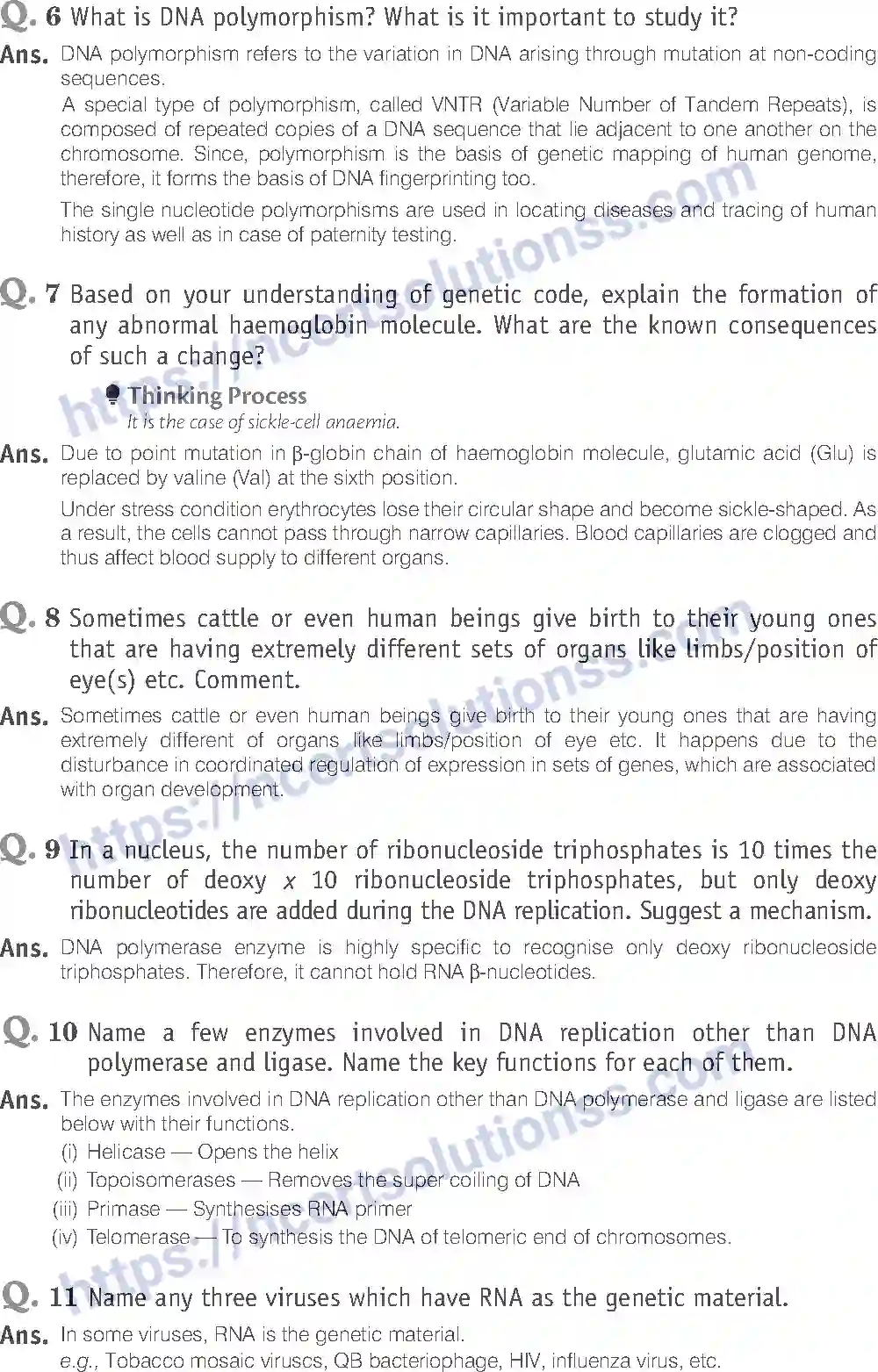 NCERT-Exemplar-Solution-Class-12-Biology-Molecular-Basis-of-Inheritance-19-page-11