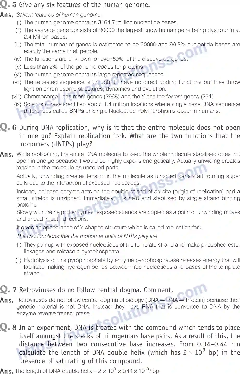 NCERT-Exemplar-Solution-Class-12-Biology-Molecular-Basis-of-Inheritance-19-page-13