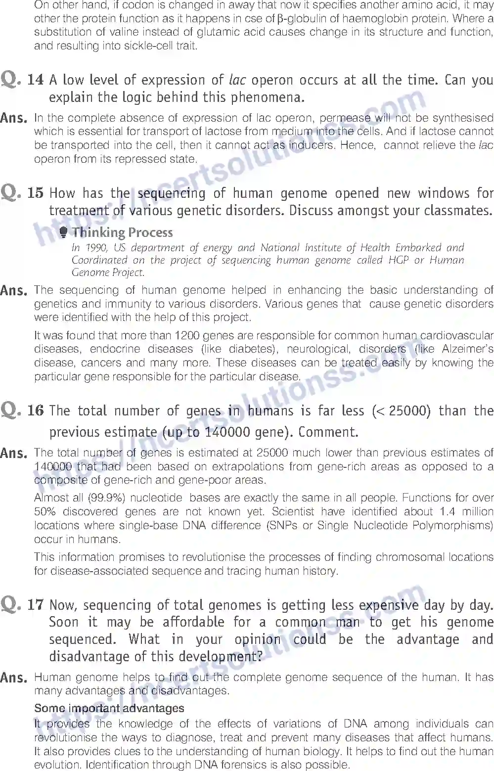 NCERT-Exemplar-Solution-Class-12-Biology-Molecular-Basis-of-Inheritance-19-page-15