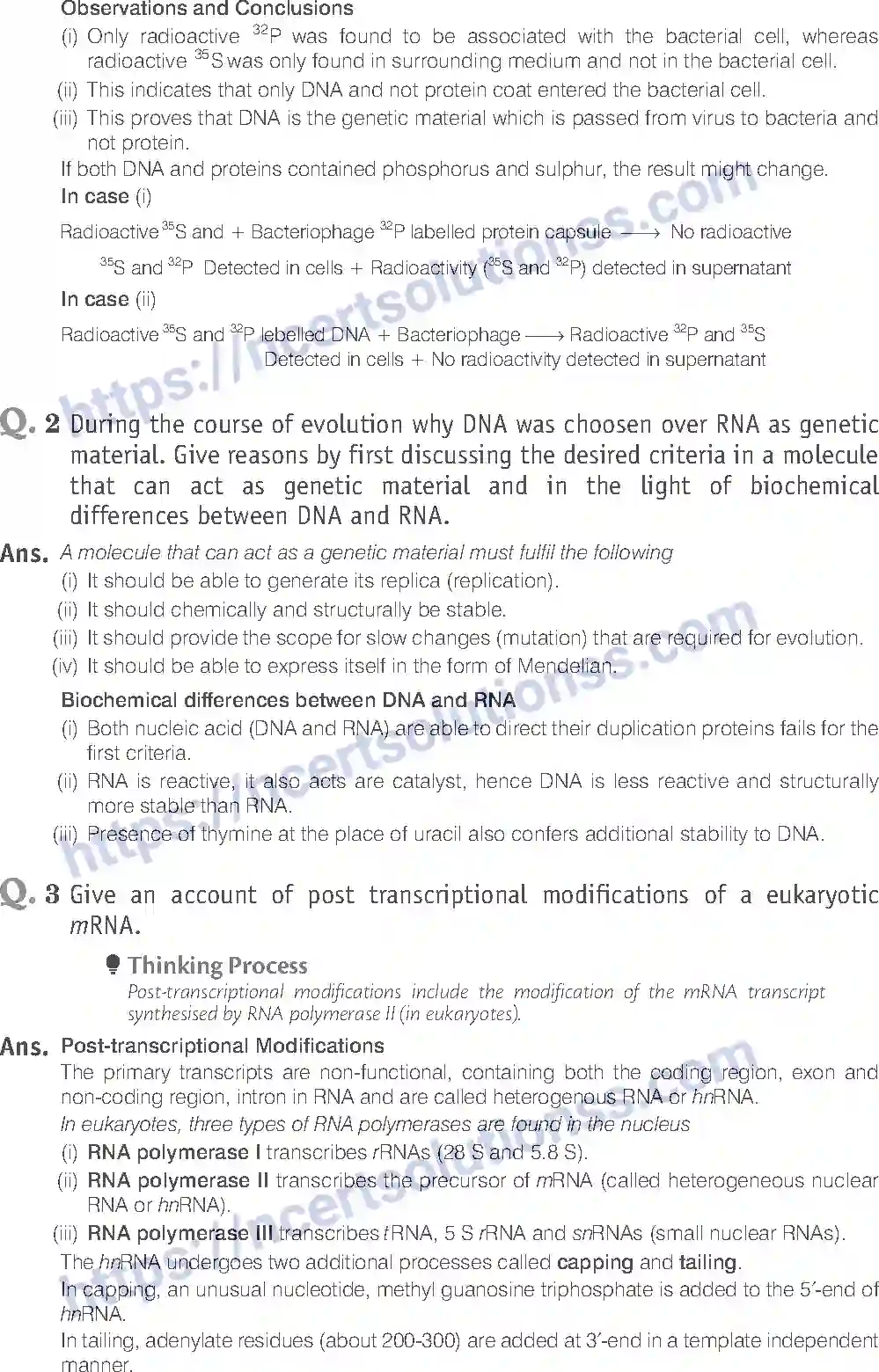 NCERT-Exemplar-Solution-Class-12-Biology-Molecular-Basis-of-Inheritance-19-page-18