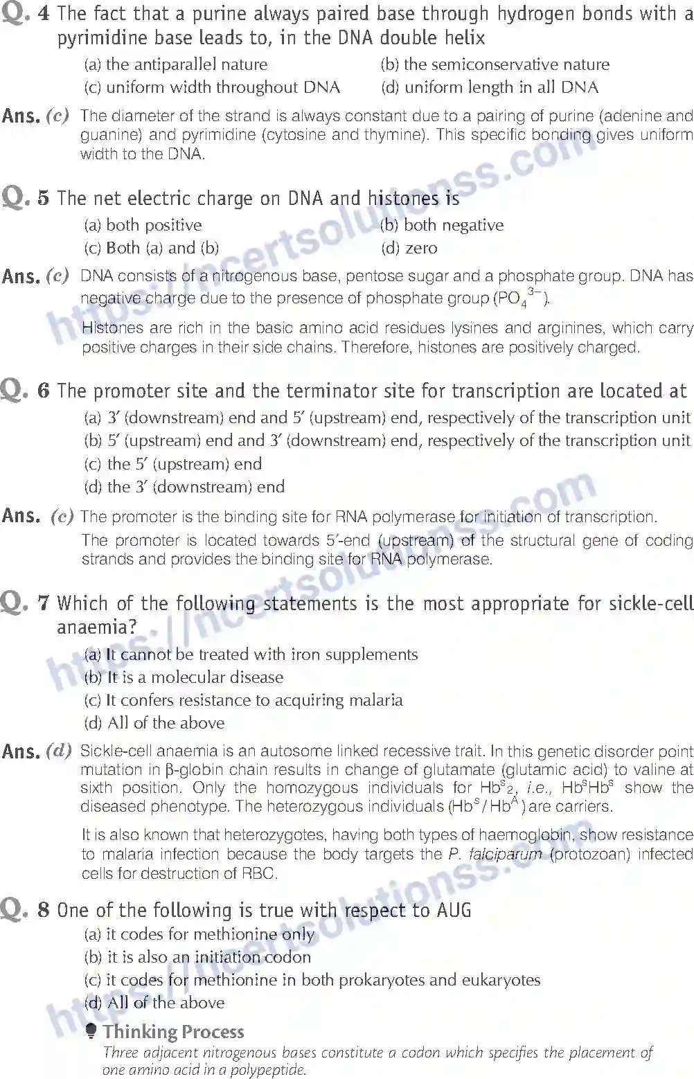 NCERT-Exemplar-Solution-Class-12-Biology-Molecular-Basis-of-Inheritance-19-page-2