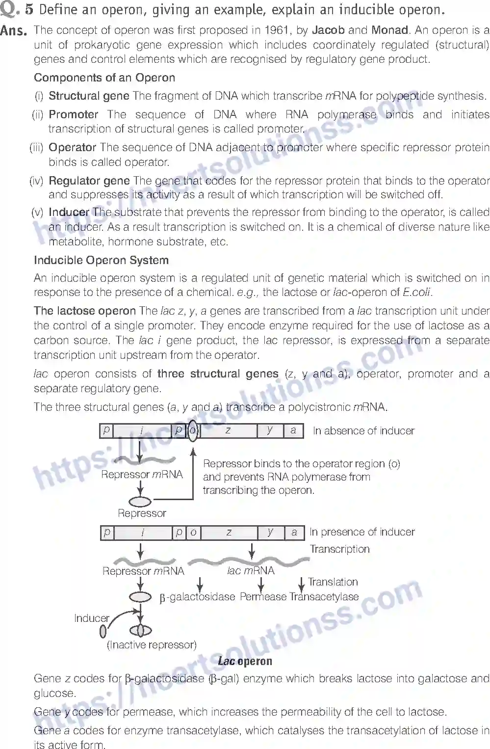 NCERT-Exemplar-Solution-Class-12-Biology-Molecular-Basis-of-Inheritance-19-page-21