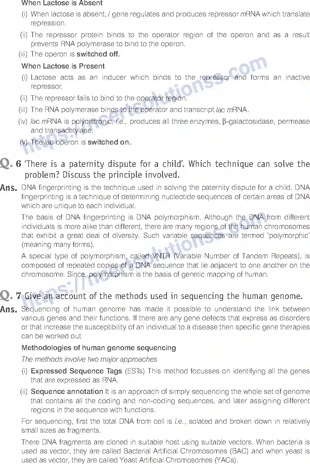 NCERT-Exemplar-Solution-Class-12-Biology-Molecular-Basis-of-Inheritance-19-page-22