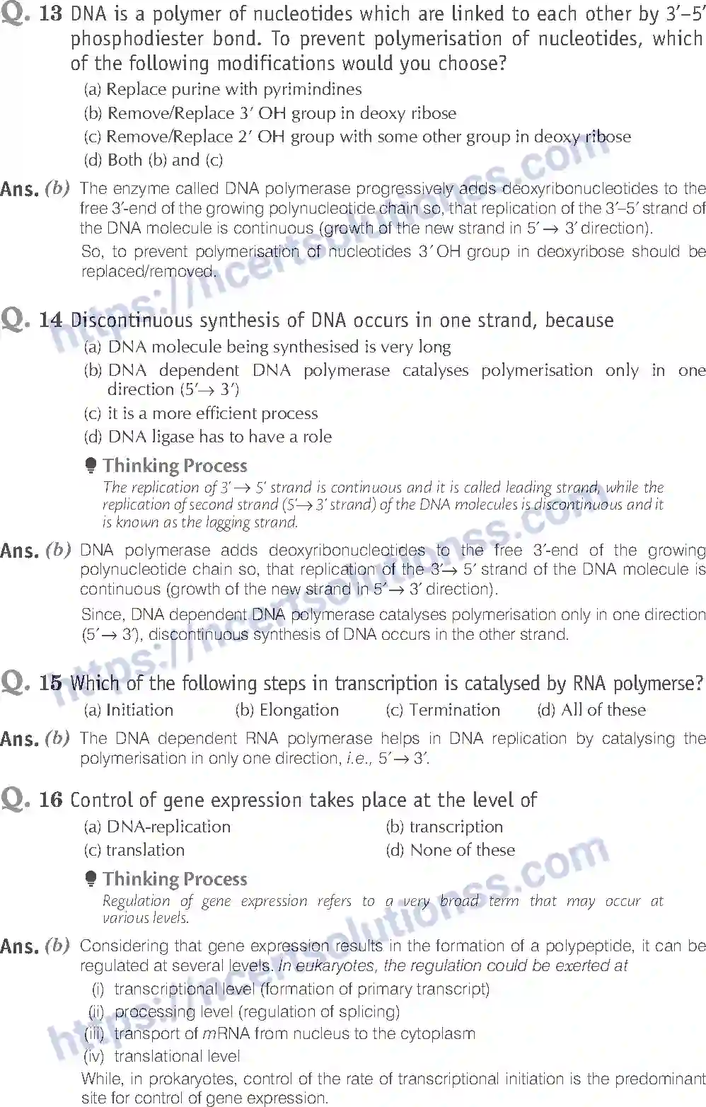 NCERT-Exemplar-Solution-Class-12-Biology-Molecular-Basis-of-Inheritance-19-page-4