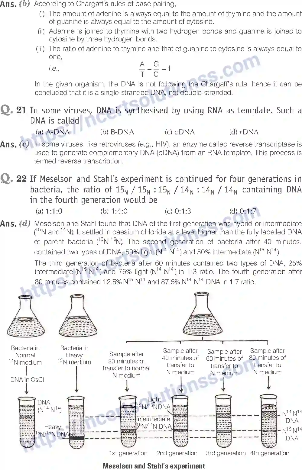NCERT-Exemplar-Solution-Class-12-Biology-Molecular-Basis-of-Inheritance-19-page-6