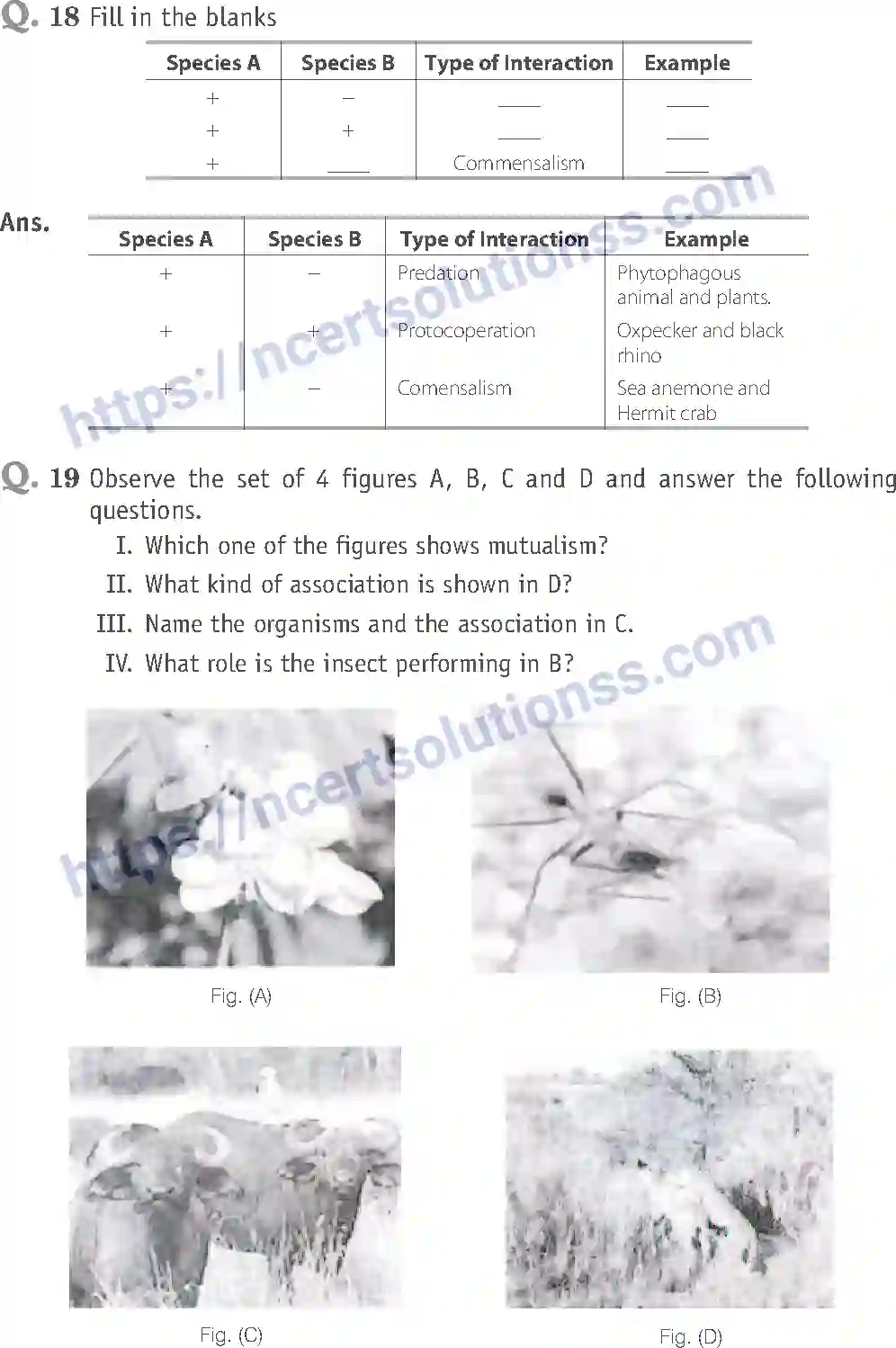 NCERT-Exemplar-Solution-Class-12-Biology-Organisms-and-Populations-26-page-12