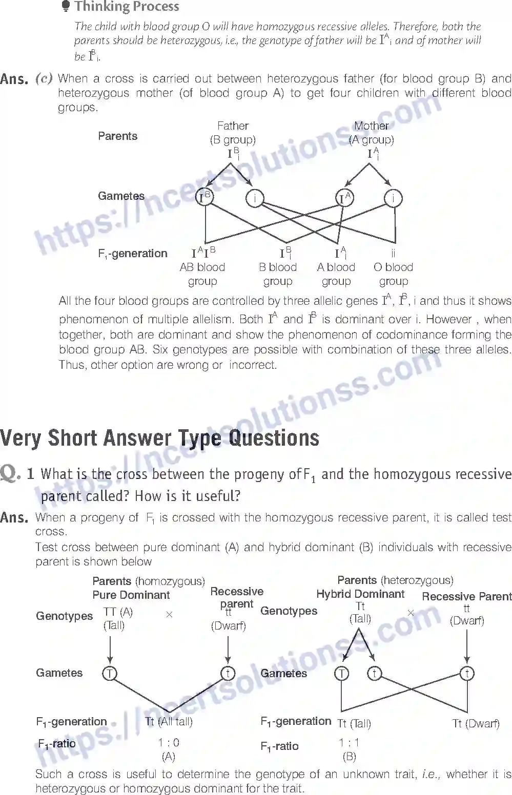 NCERT-Exemplar-Solution-Class-12-Biology-Principle-of-Inheritance-and-Variations-18-page-10