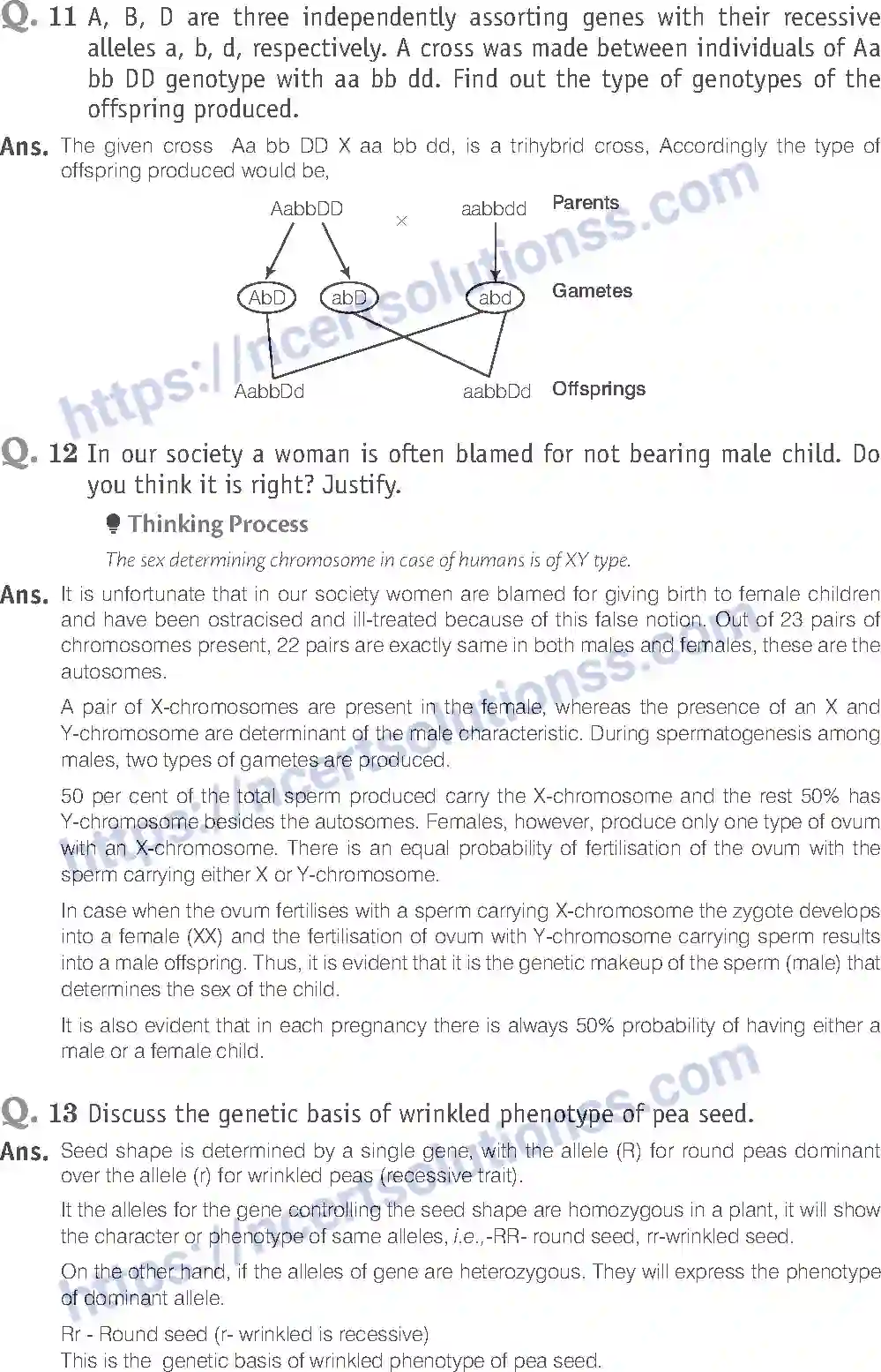 NCERT-Exemplar-Solution-Class-12-Biology-Principle-of-Inheritance-and-Variations-18-page-14