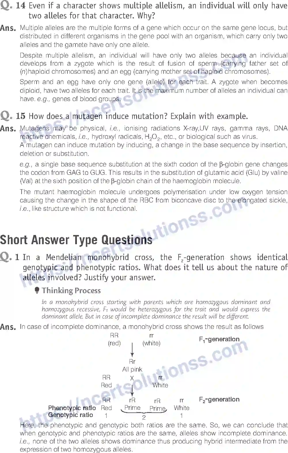 NCERT-Exemplar-Solution-Class-12-Biology-Principle-of-Inheritance-and-Variations-18-page-15