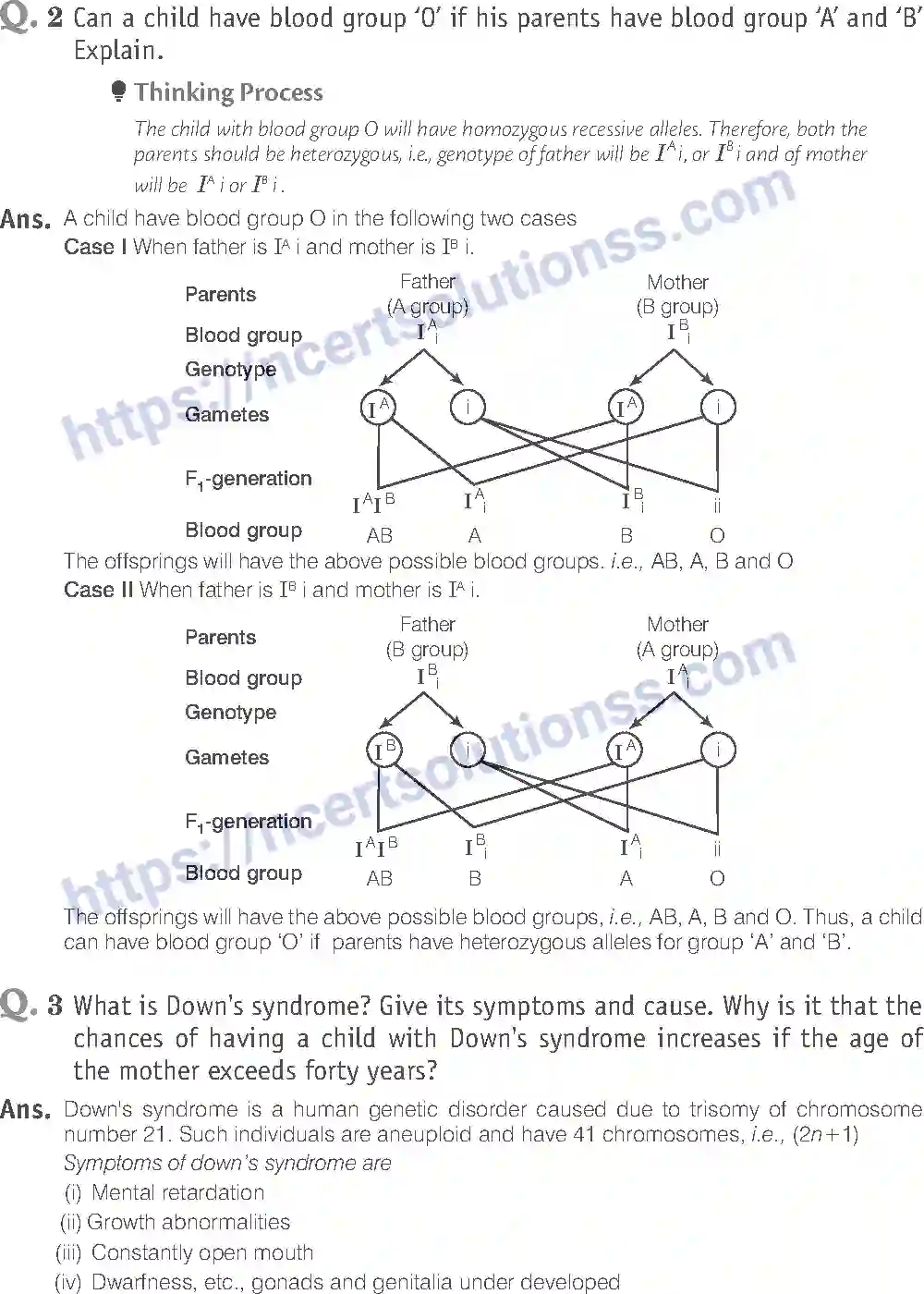 NCERT-Exemplar-Solution-Class-12-Biology-Principle-of-Inheritance-and-Variations-18-page-16