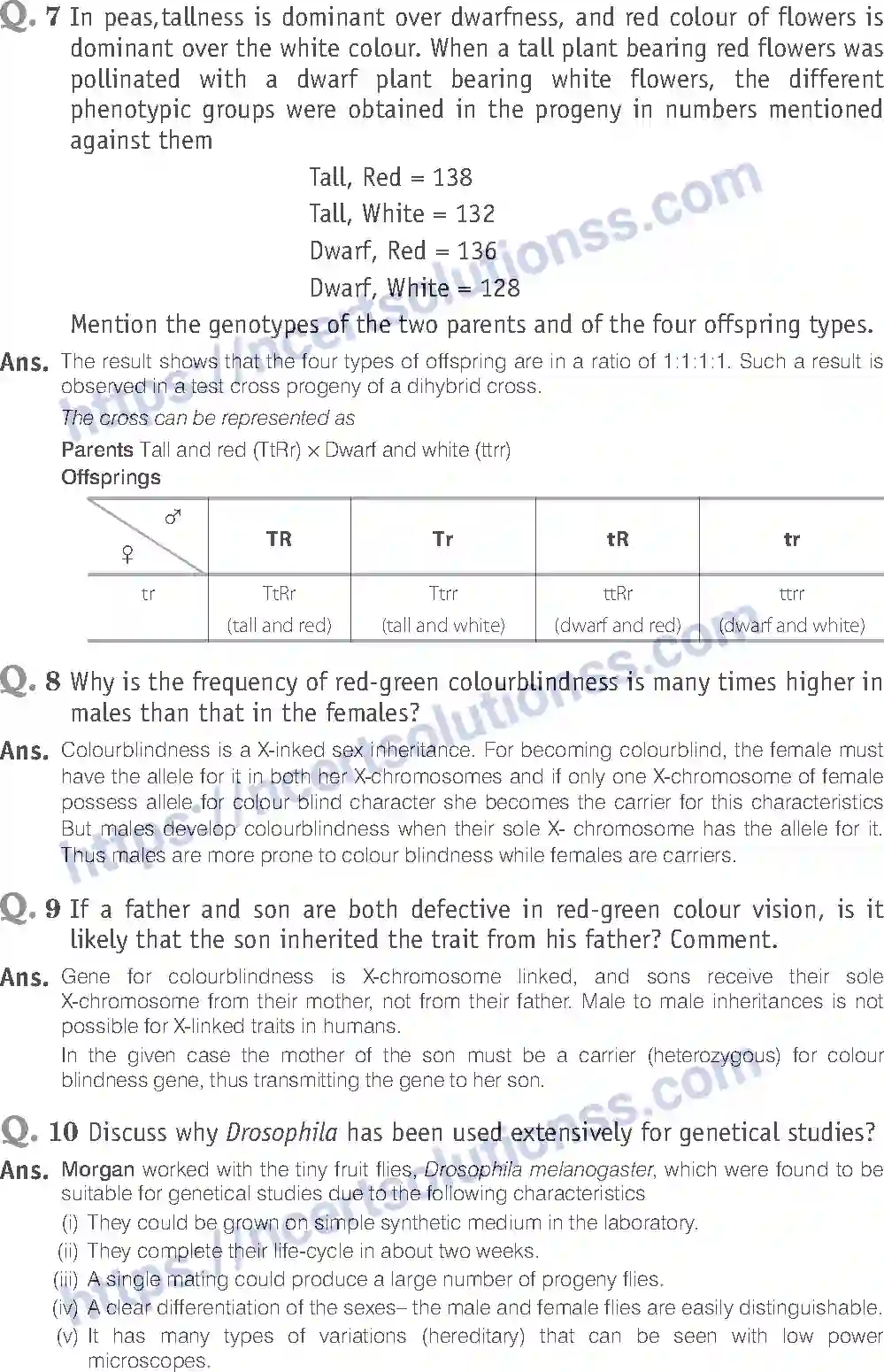 NCERT-Exemplar-Solution-Class-12-Biology-Principle-of-Inheritance-and-Variations-18-page-18