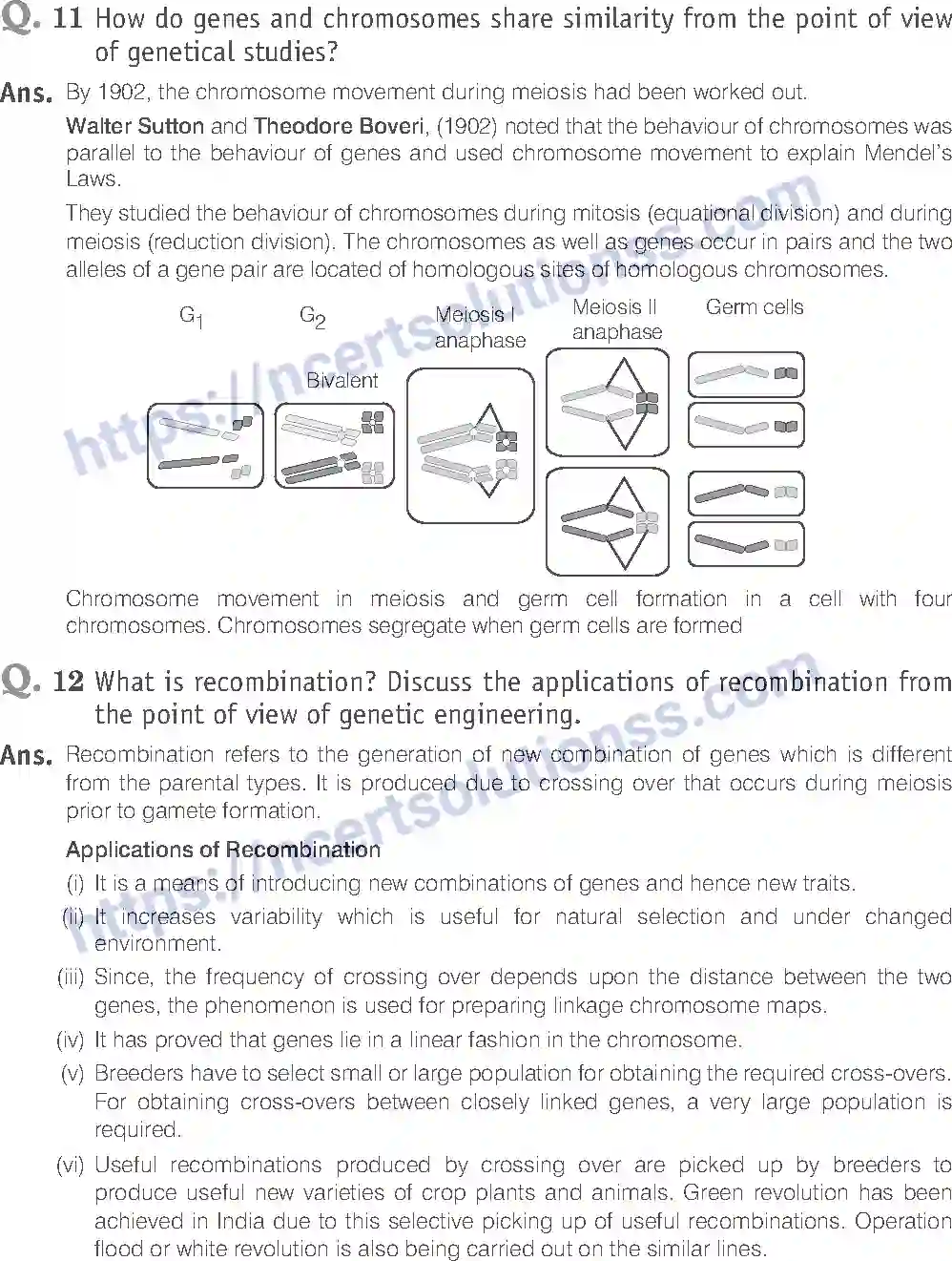 NCERT-Exemplar-Solution-Class-12-Biology-Principle-of-Inheritance-and-Variations-18-page-19