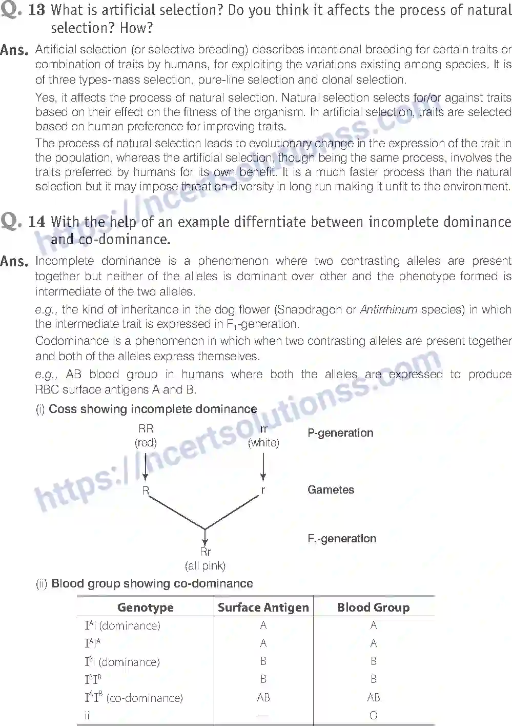 NCERT-Exemplar-Solution-Class-12-Biology-Principle-of-Inheritance-and-Variations-18-page-20