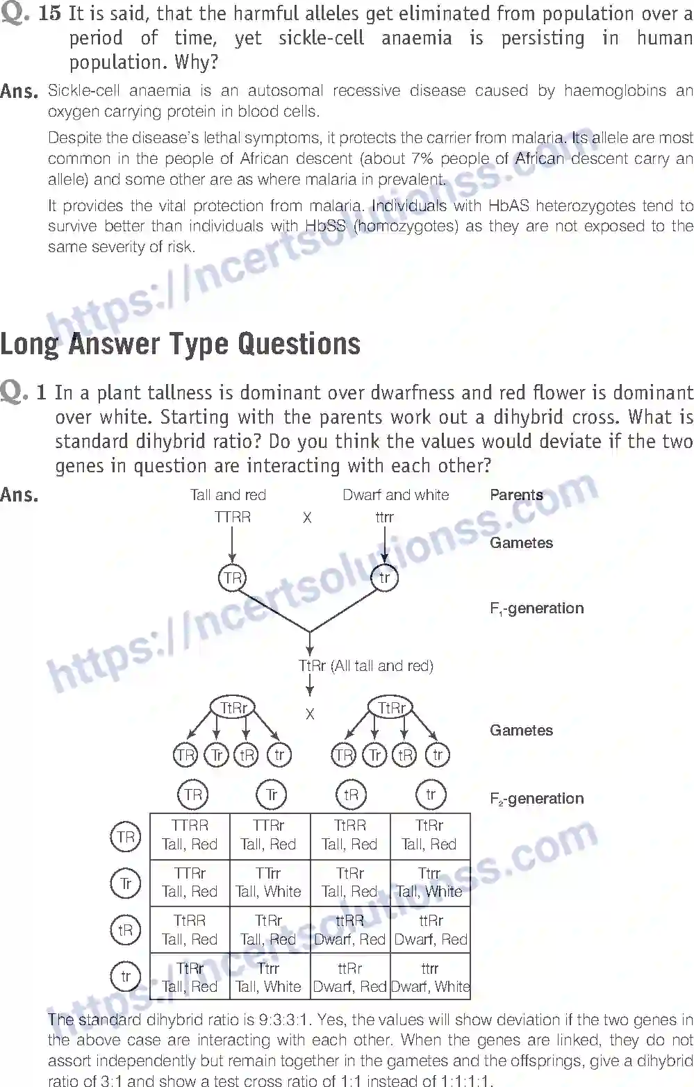 NCERT-Exemplar-Solution-Class-12-Biology-Principle-of-Inheritance-and-Variations-18-page-21
