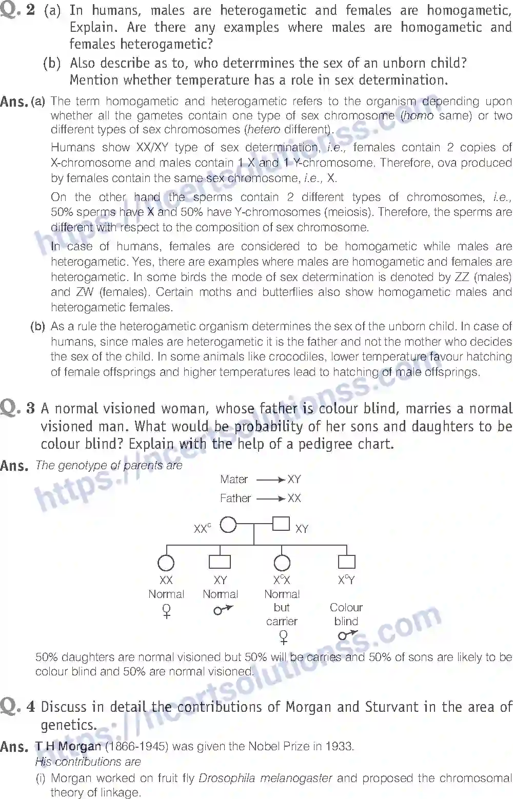 NCERT-Exemplar-Solution-Class-12-Biology-Principle-of-Inheritance-and-Variations-18-page-22