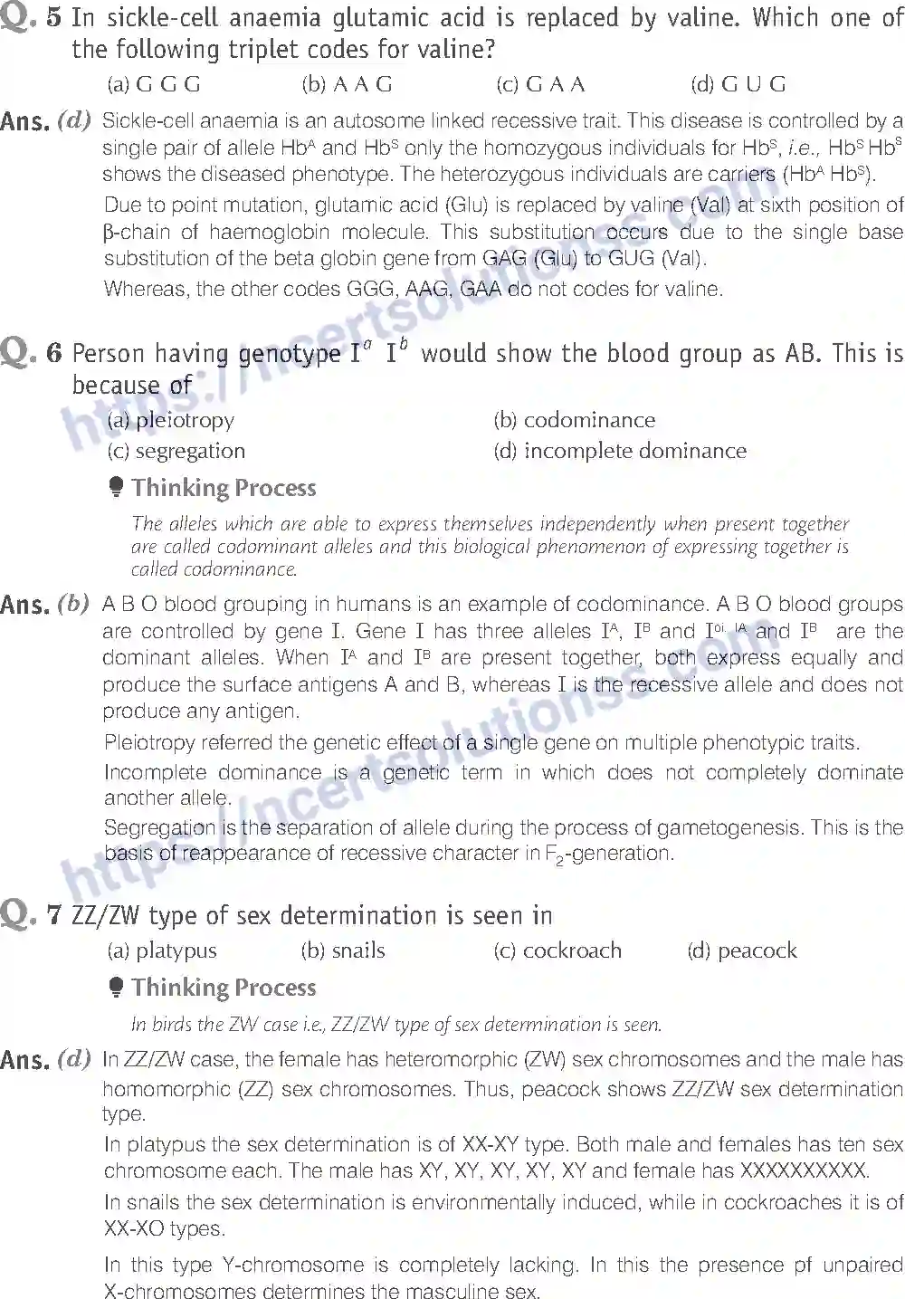 NCERT-Exemplar-Solution-Class-12-Biology-Principle-of-Inheritance-and-Variations-18-page-3